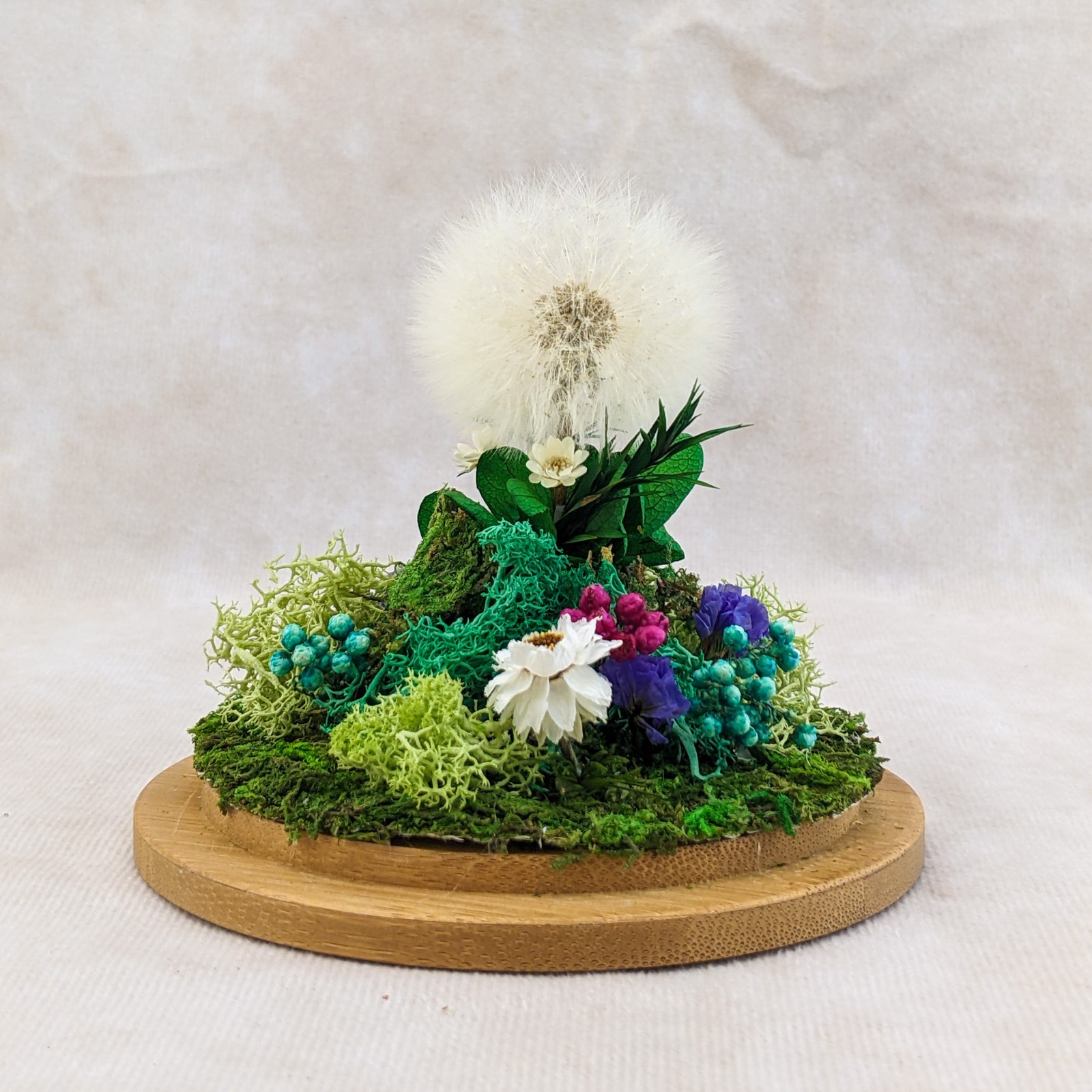 Dandelion Head all natural flowers Lg Glass Dome display collectible decor gif