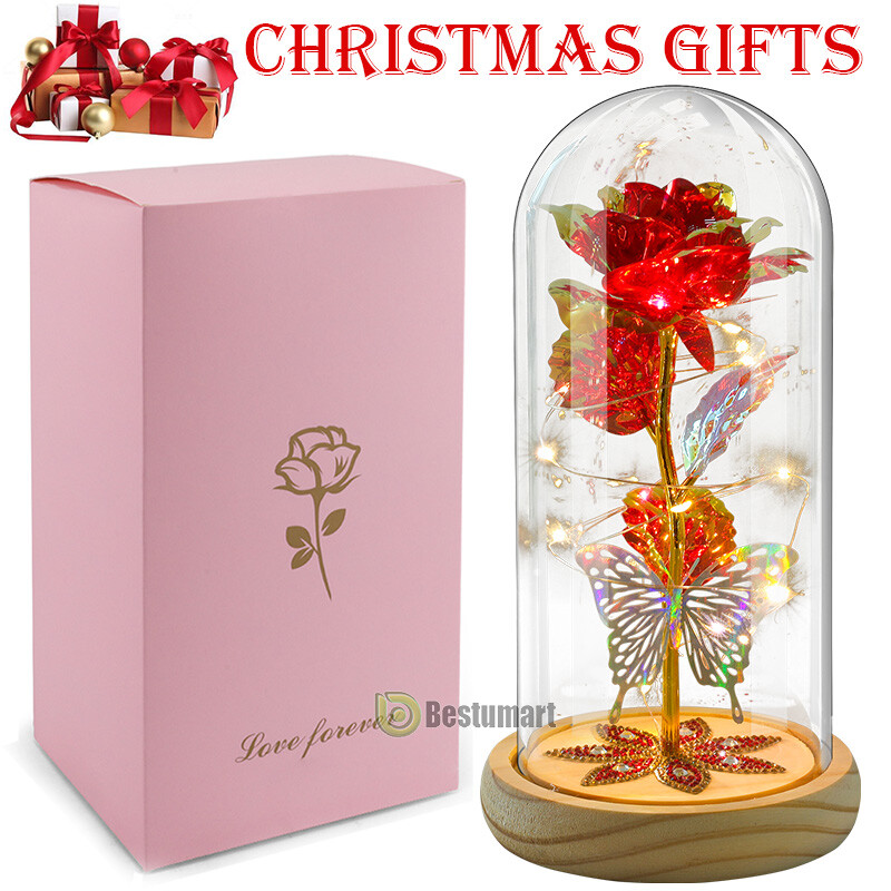 Rose Flowers Christmas Gift for Women,Glass Dome Rose Gifts for Mom Wife Grandma