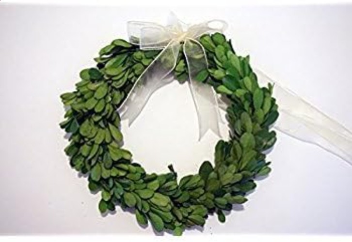 Preserved Boxwood Wreath Indoor Organic Greenery AccentSmall 6