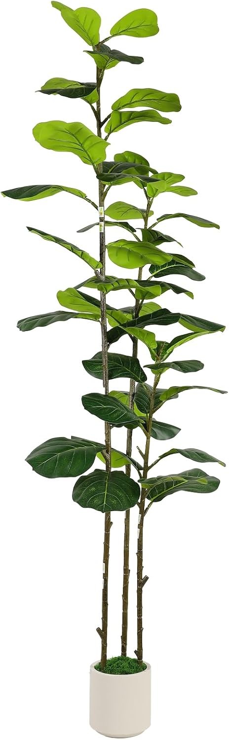 6FT Artificial Fiddle Leaf Fig Tree with White Planter Pot, 6 feet Tall Fake