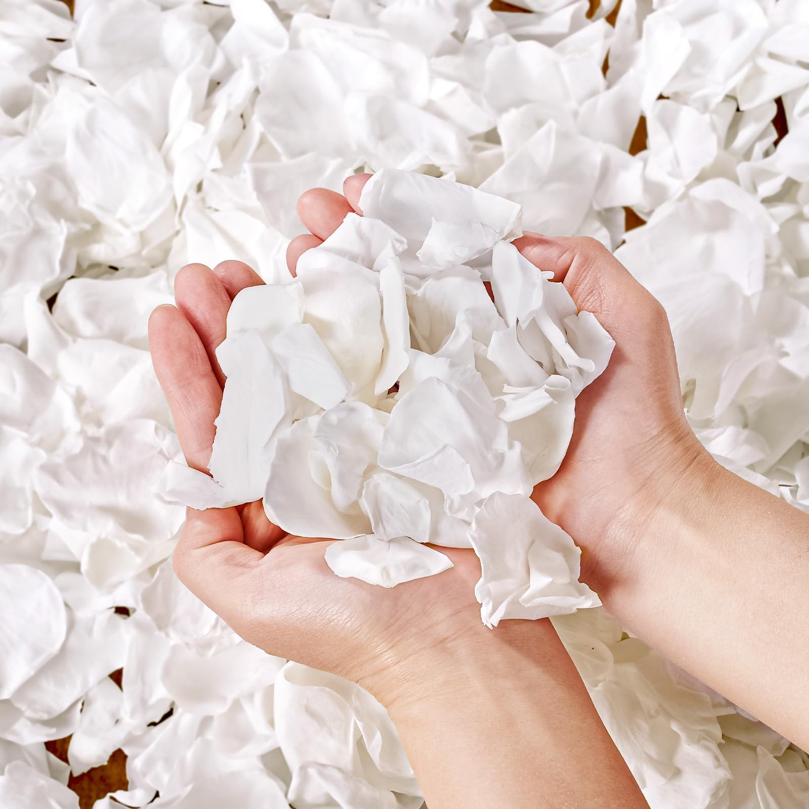 500 PCS Dried Real White Rose Petals Freeze Preserved Wedding Party Confetti