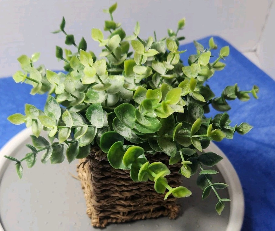 Plants Artifical In Flower Pot Basket 4×4 . No Watering!