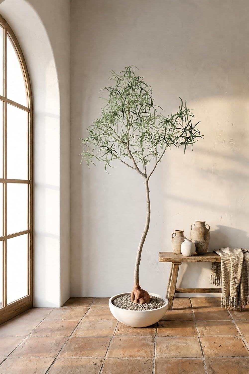 6.5FT Queensland Bottle Tree Sculptural Faux Tree for Japandi & Wabi-Sabi