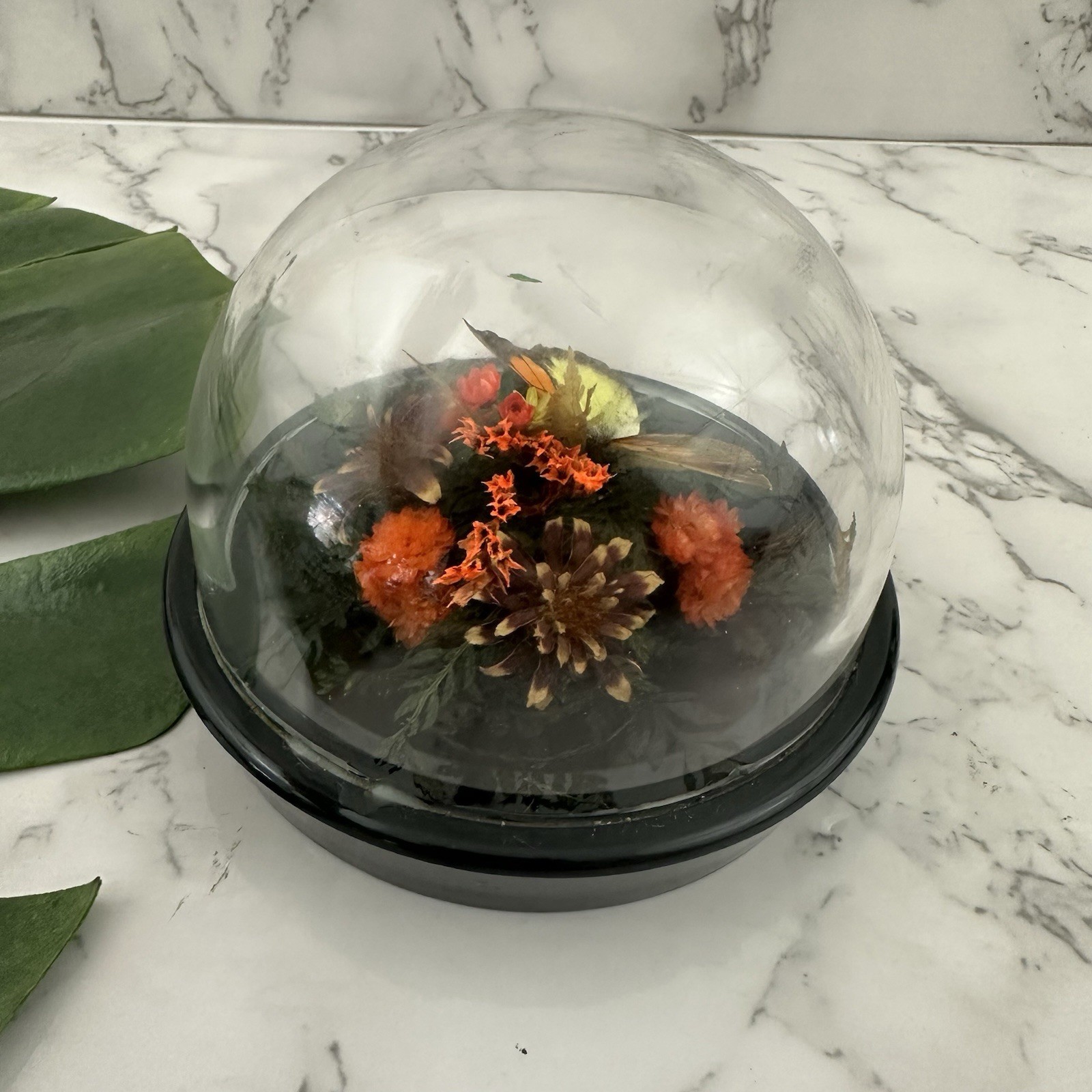 Vintage 80s Butterfly Cloche Dome Bubble Cottage Decor Plastic Orange Floral