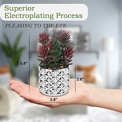 Small Artificial Succulents in Pots 5.4” Tall Realistic 1 Red Succulent#011