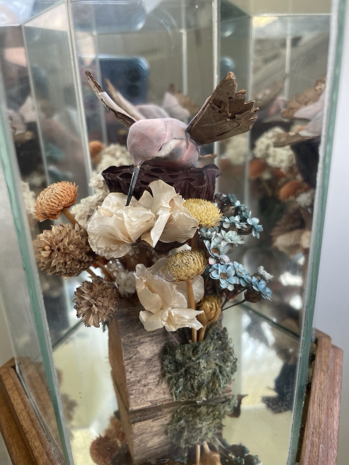 Vintage Faux Hummingbird Hexagonal Glass Display Case Dried Flower Diorama 1970s