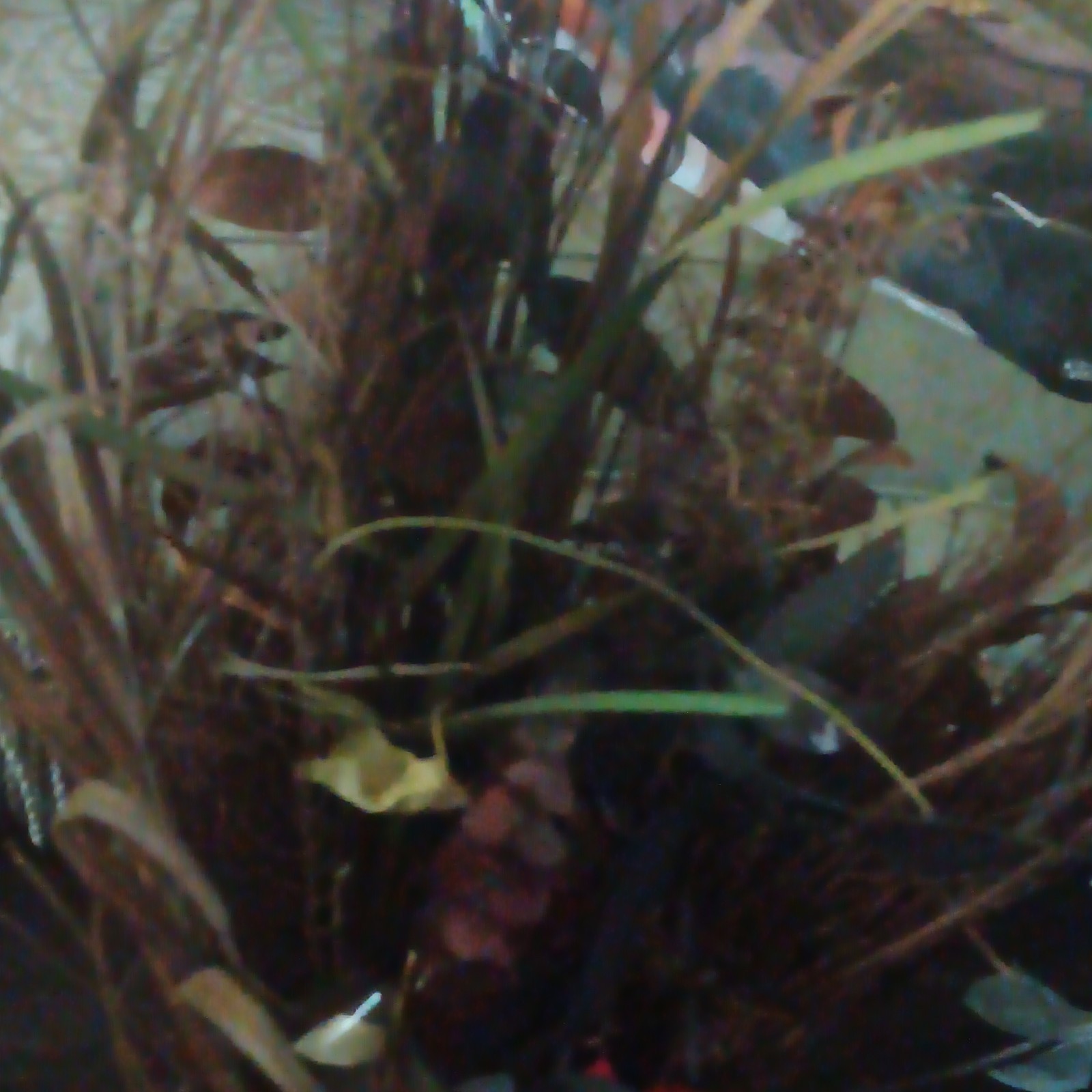 Artificial Mixed Floral Arrangement & Centerpiece in Huge Frosted Glass Vase,