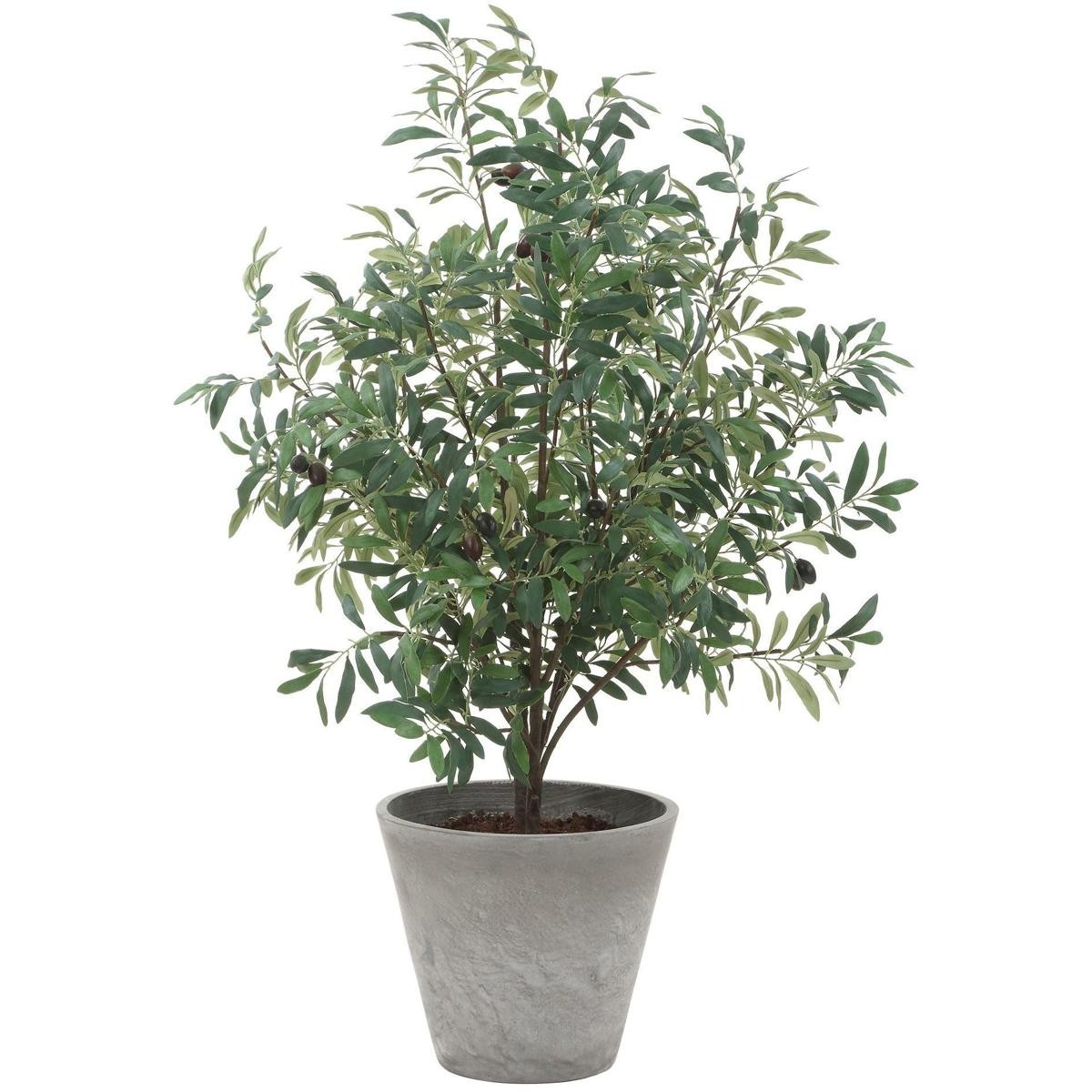 Uttermost 60268 Marisol Stone Gray and Green Potted Olive Plant