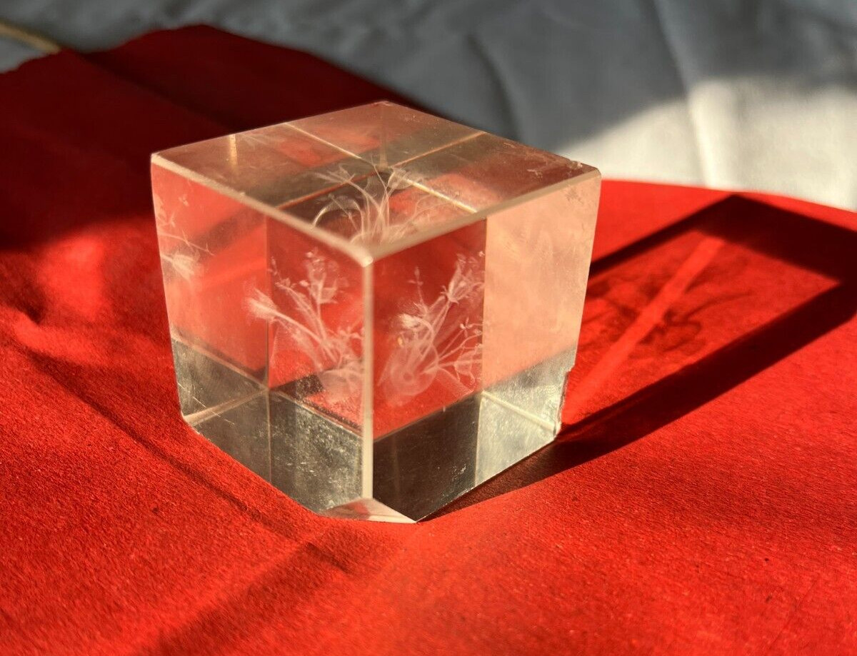 Vintage Laser Etched Flowers 3-D Hologram Cube Square Art Glass Paperweight