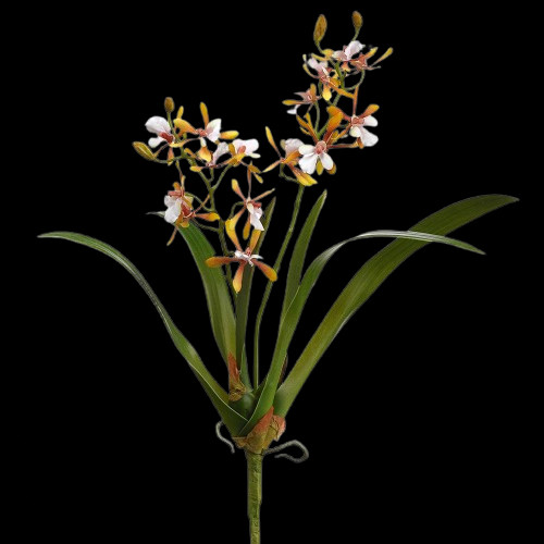 Artificial Mini Cattleya Orchid stem YELLOW PINK