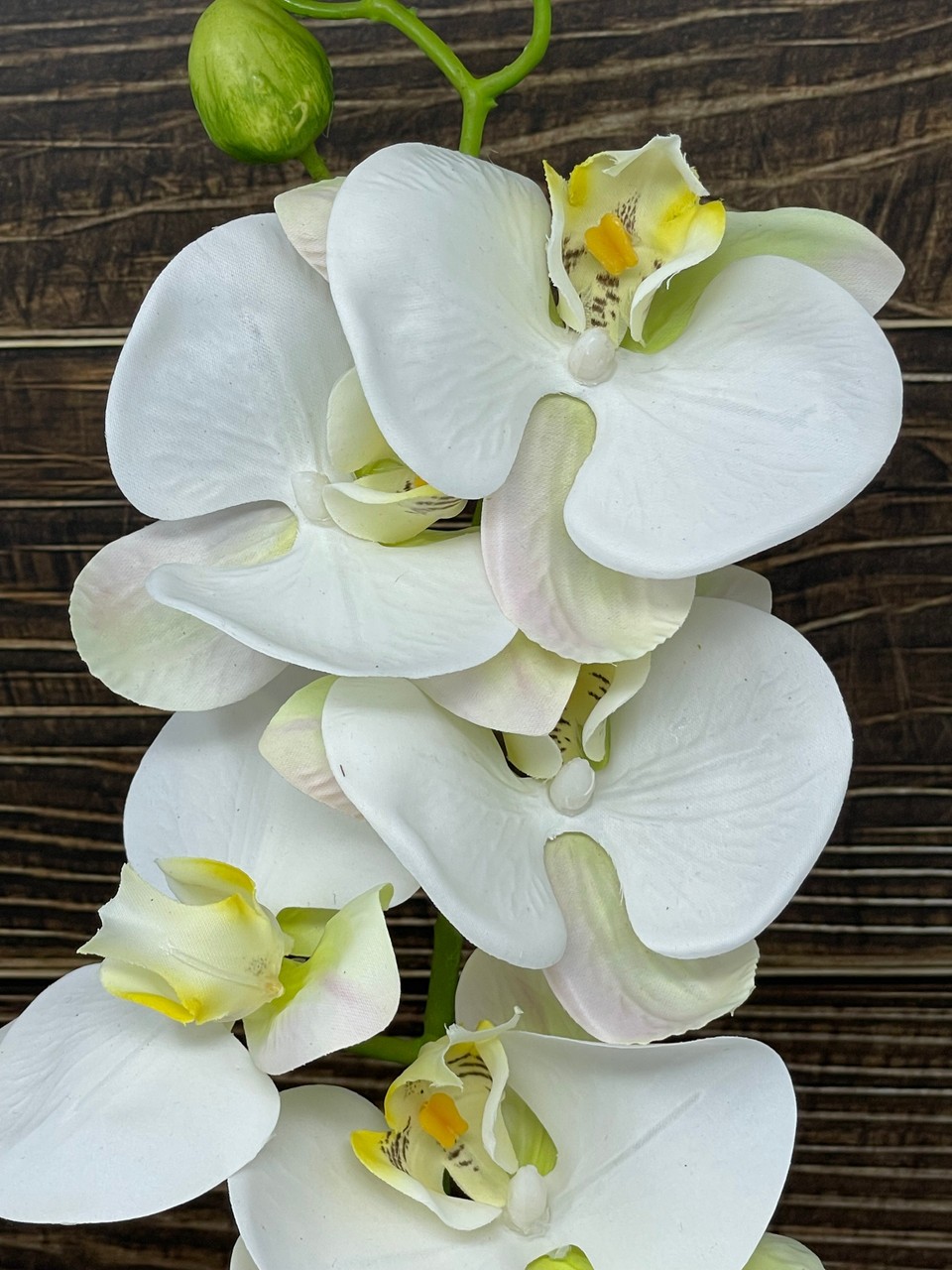 16″ Potted White PHALAENOPSIS ORCHID faux Silk flower plant in White wood box