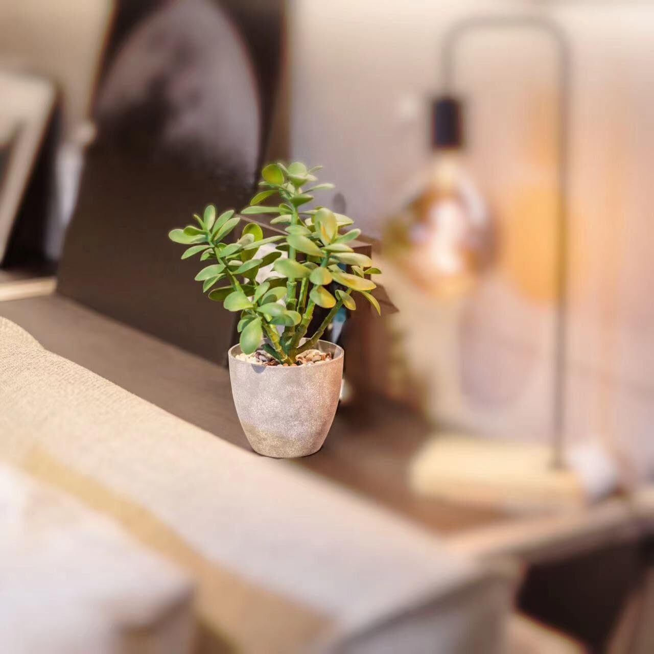 Artificial Potted Jade Plant 12 inch Luxury Faux Succulent Money Tree