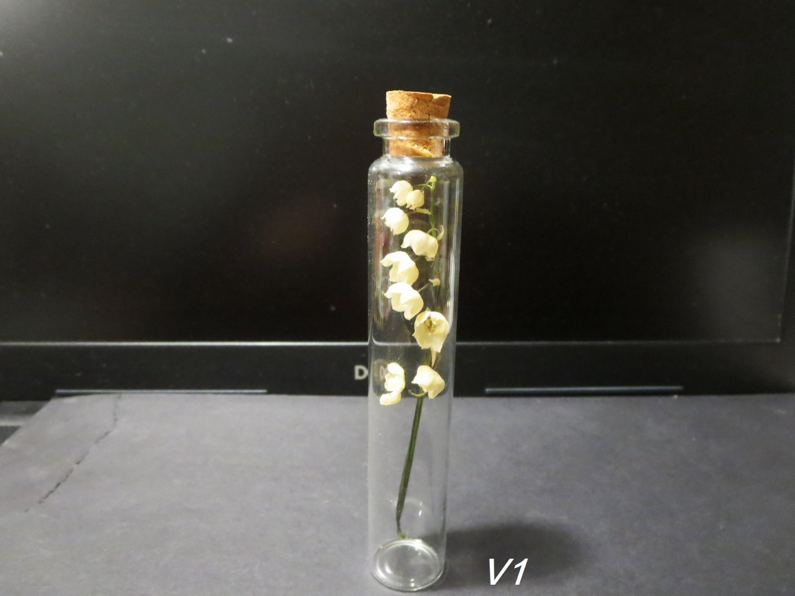 Dried flowers Lily of the valley vial botany Floral Bloom Display ,wunderkammer
