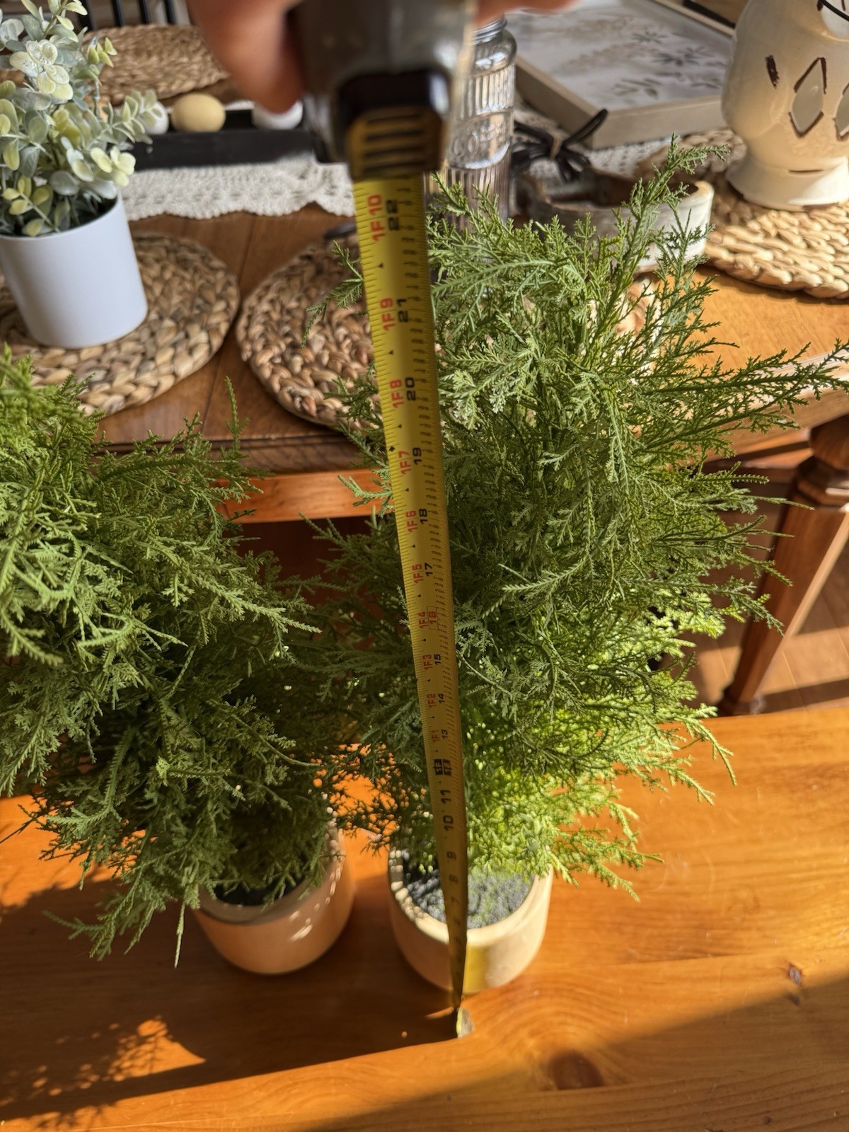 Two Realistic 22 Inch Mini Potted Faux Cedar Pine Trees In Wood Pots