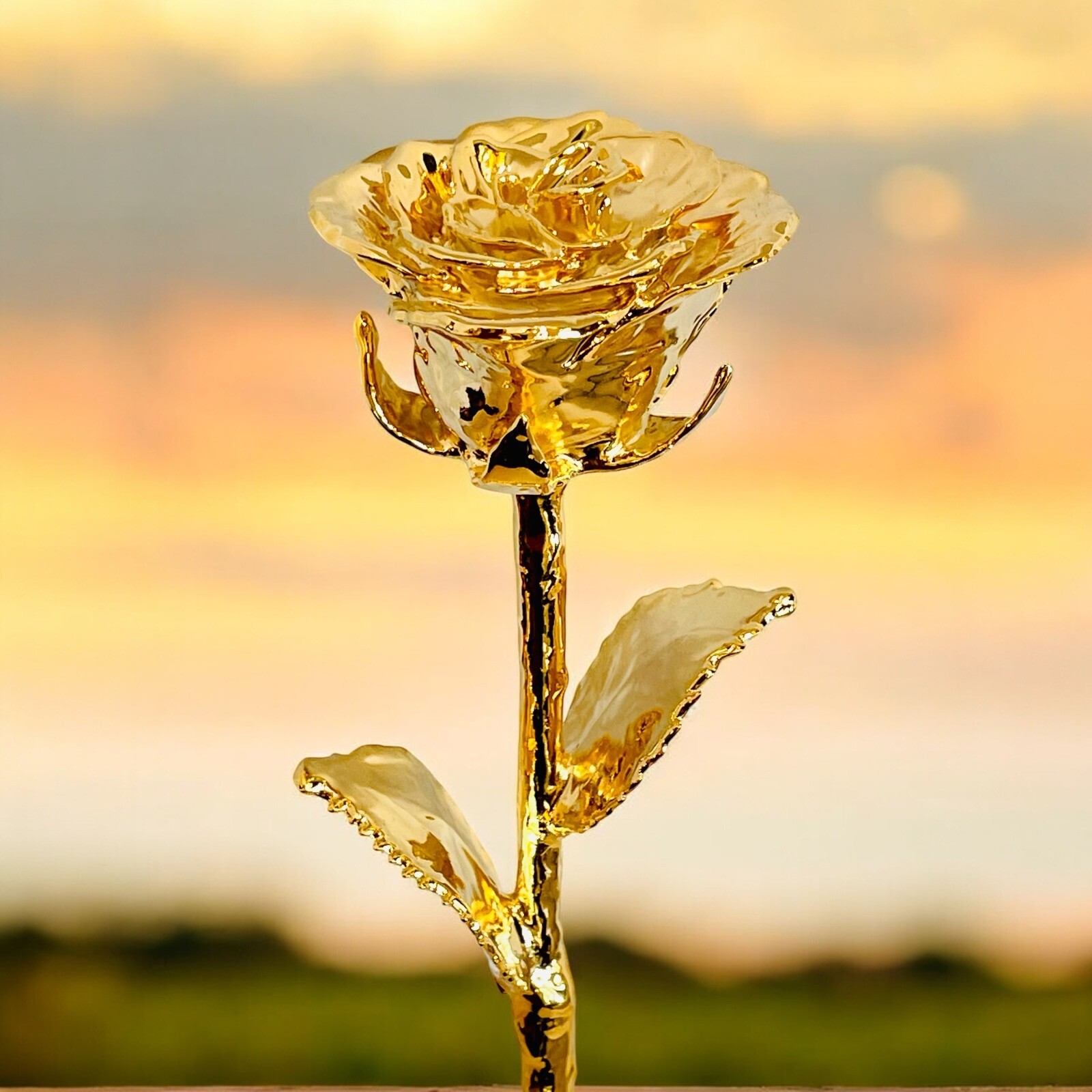 100% Natural Rose Dipped In 24K Gold, 11.5″, Wedding, Anniversary, Proposal,