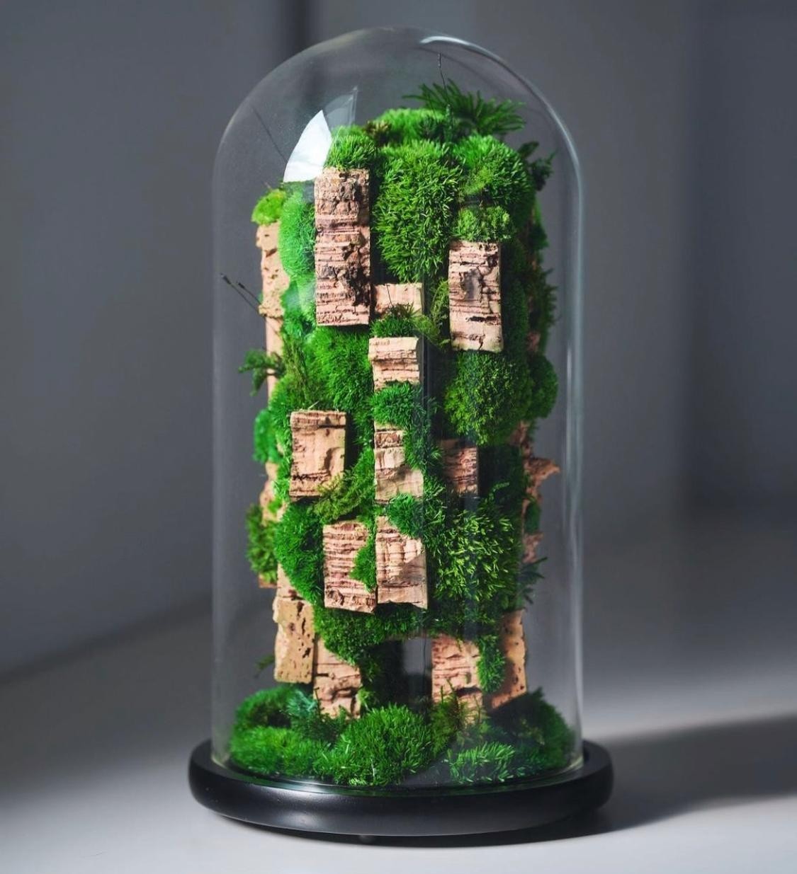 Moss Preserved DARK GREEN – Fairy Gardens Terrariums, Craft, DIY, Floral 1Kg