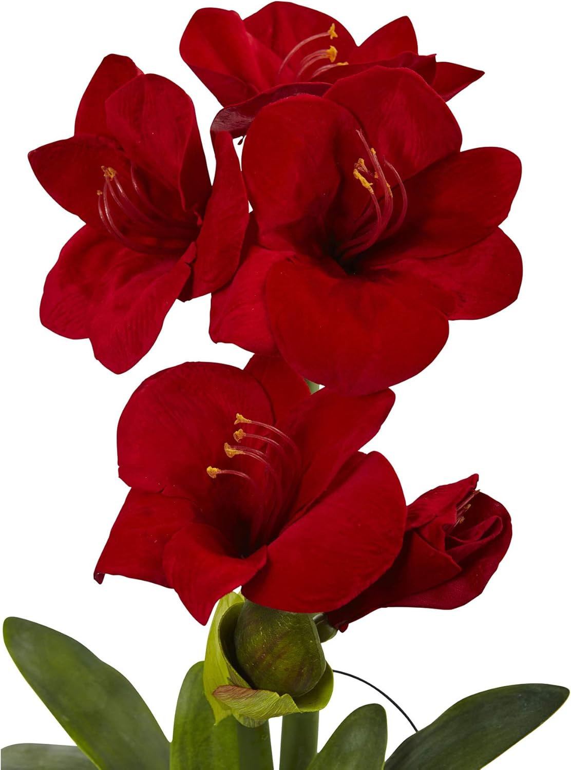 Stunning 24″ Red Amaryllis Floral Decor with Elegant Vase – Perfect for Home!