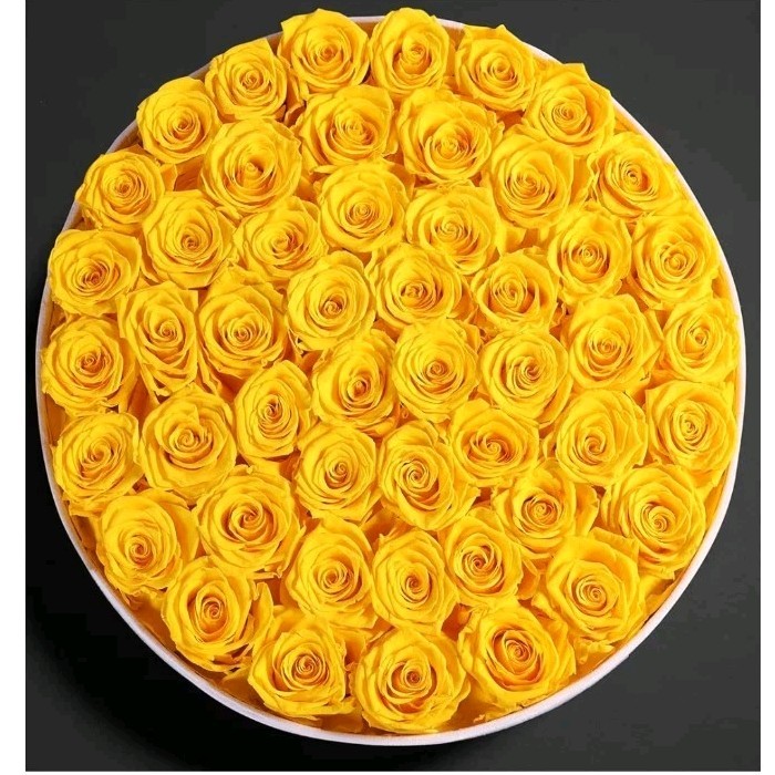 50 Piece Roses in a Velvet Box, Flowers for Delivery, Presereved Flowers…