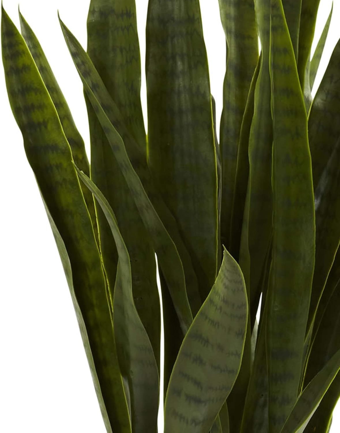 Versatile 35 Inch Sansevieria Plant for Home or Office – Black Planter Included