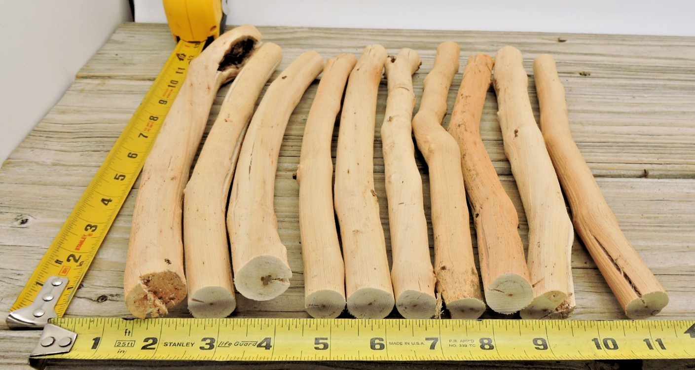 10 Grapevine Wood Stick Section 3/4~1 1/8″D 11~13″L Driftwood Decor Crafts