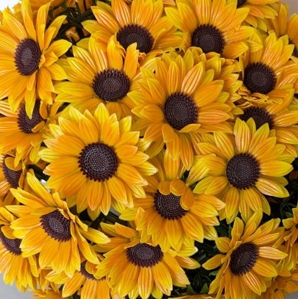 Wicker Park S/2 Oversized 15″ Harvest Faux Sunflower Spheres Yellow NO HARDWARE