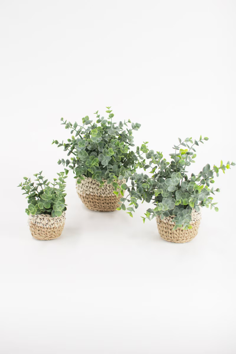 Set Of 3 Artificial Eucalyptus Plants in Woven Pots For Indoor Home Decor