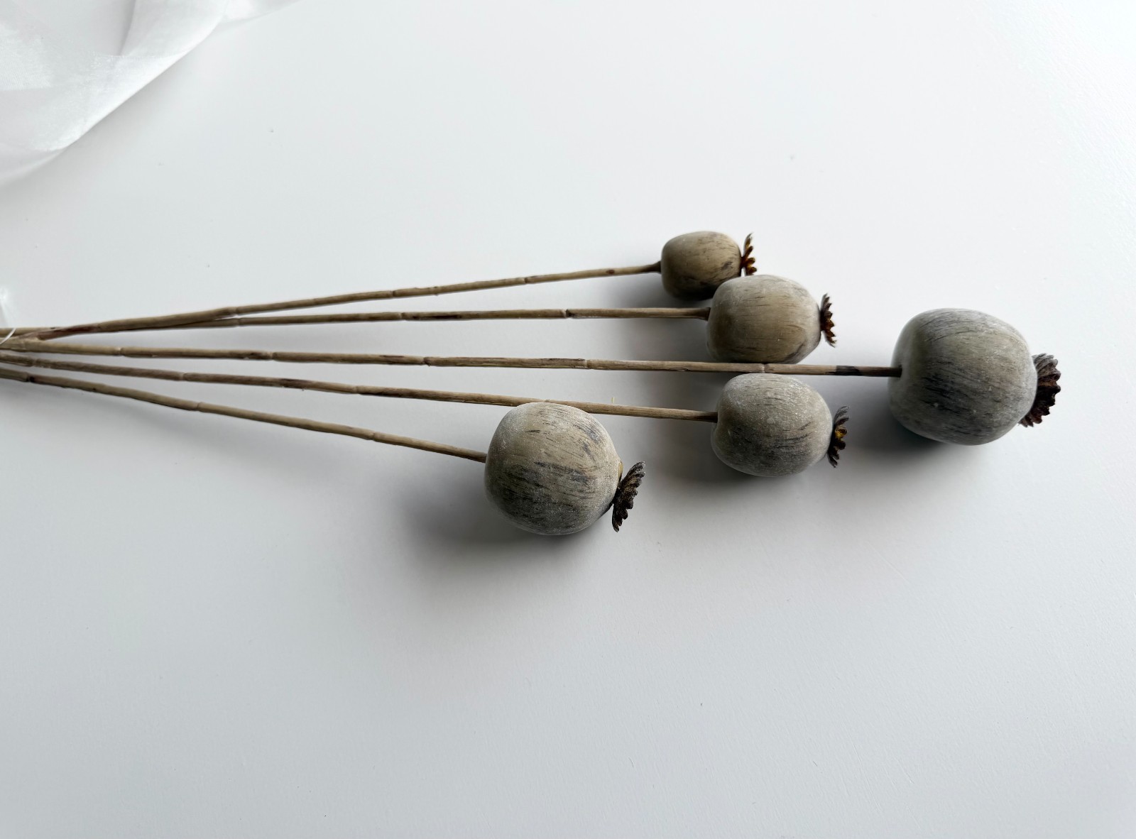 Dried Look Floral Stem Artificial Poppy Faux Stem Faux Flowers Brown