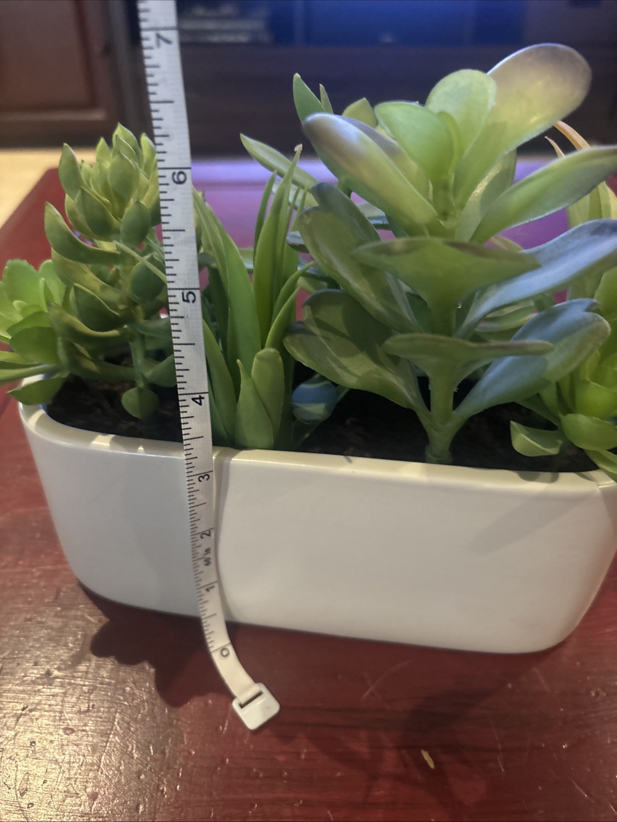 Succulent Plant Artificial