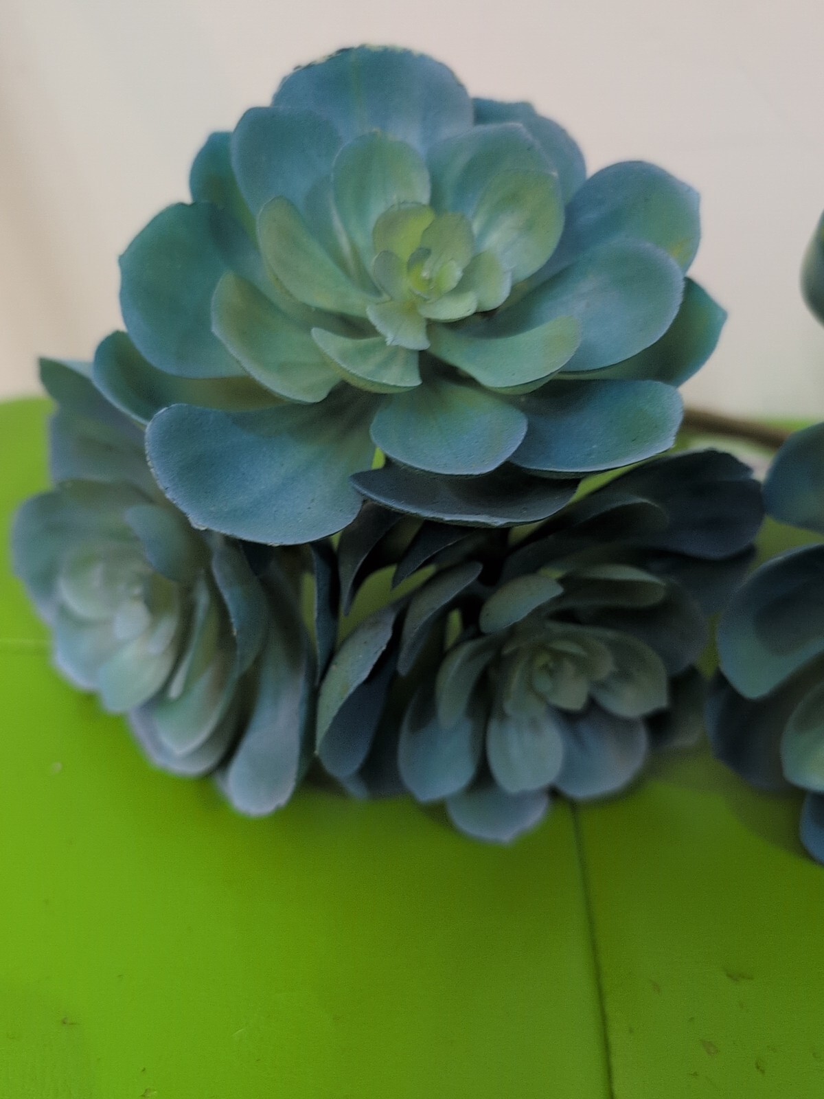 Artificial Green Blue Cluster Succulents Echeveria (3) Picks Spring