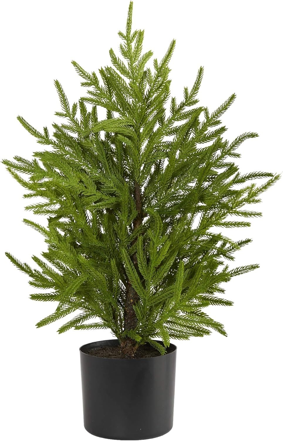 Nearly Natural 2ft Norfolk Island Pine Artificial Tree in Planter (2-2)