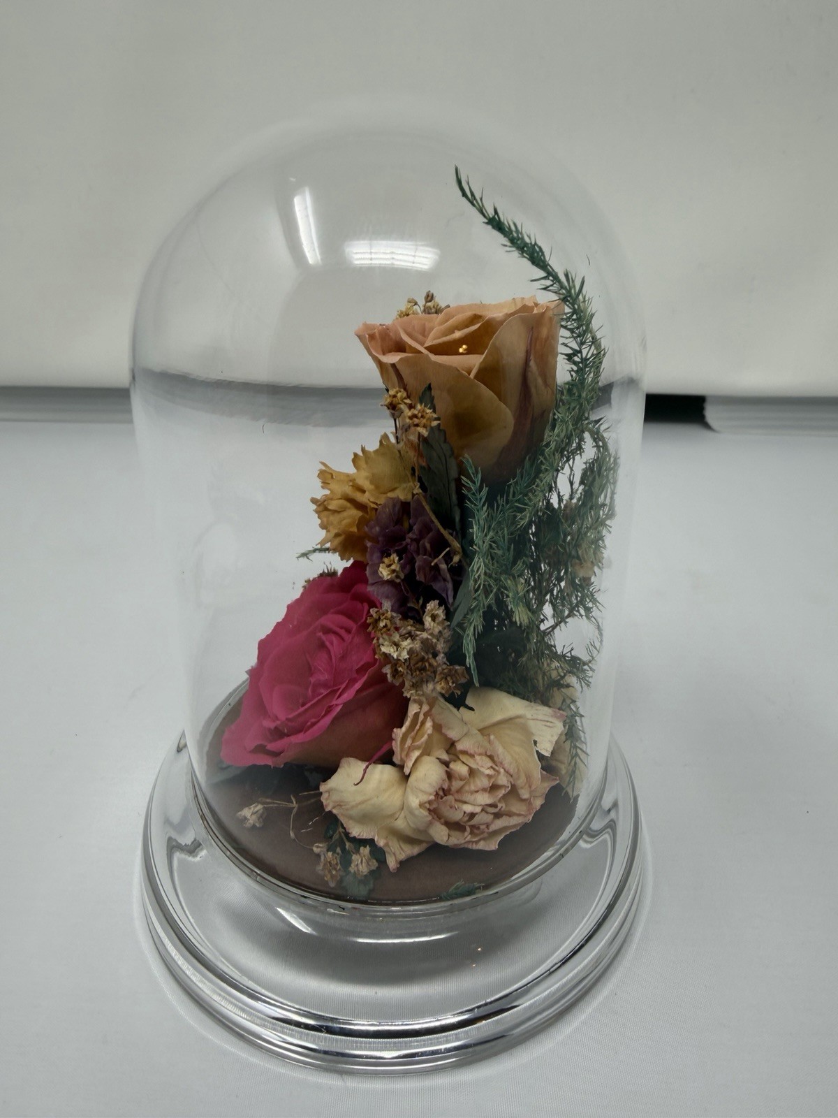 Natural Expressions Freeze Dried Rose Floral Keepsake Glass Dome Decor