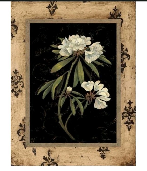 4 Piece Large Wall Art 17″L × 21″H Beautiful Framed Floral Art Work