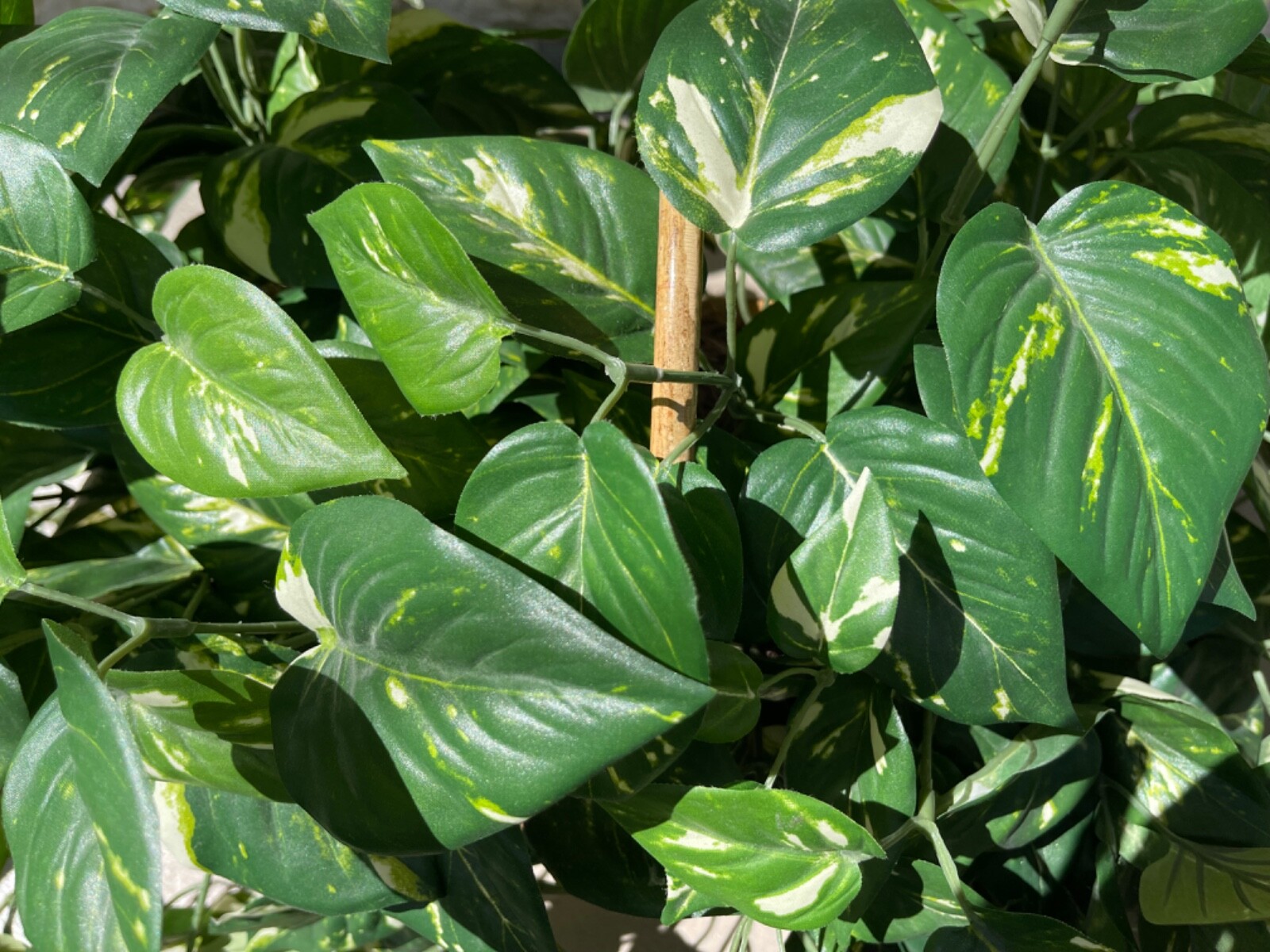Large Artificial Variegated Philodendron in Handled Woven Bamboo Basket
