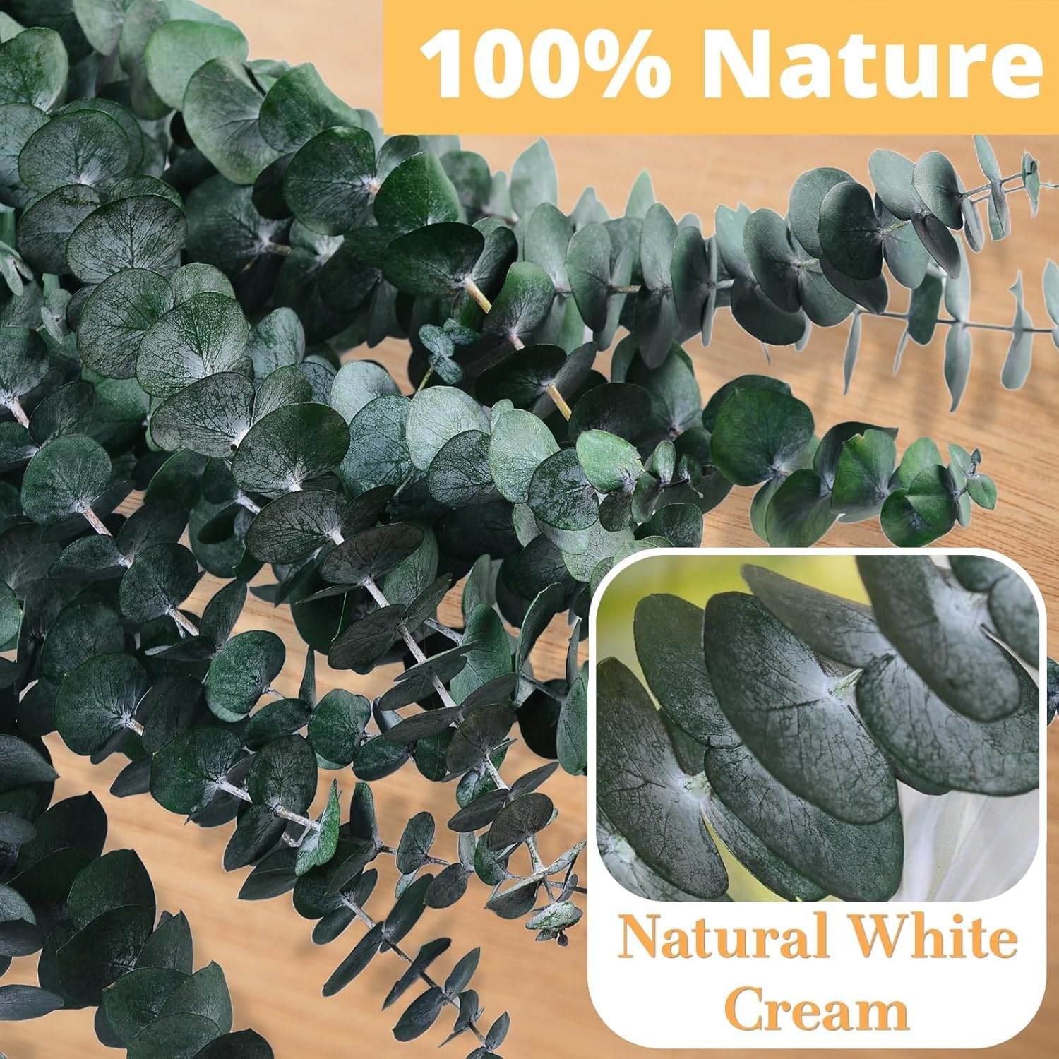 12 Pcs Dried Eucalyptus for Shower Hanging – 17” Real Large Preserved Eucalyptu