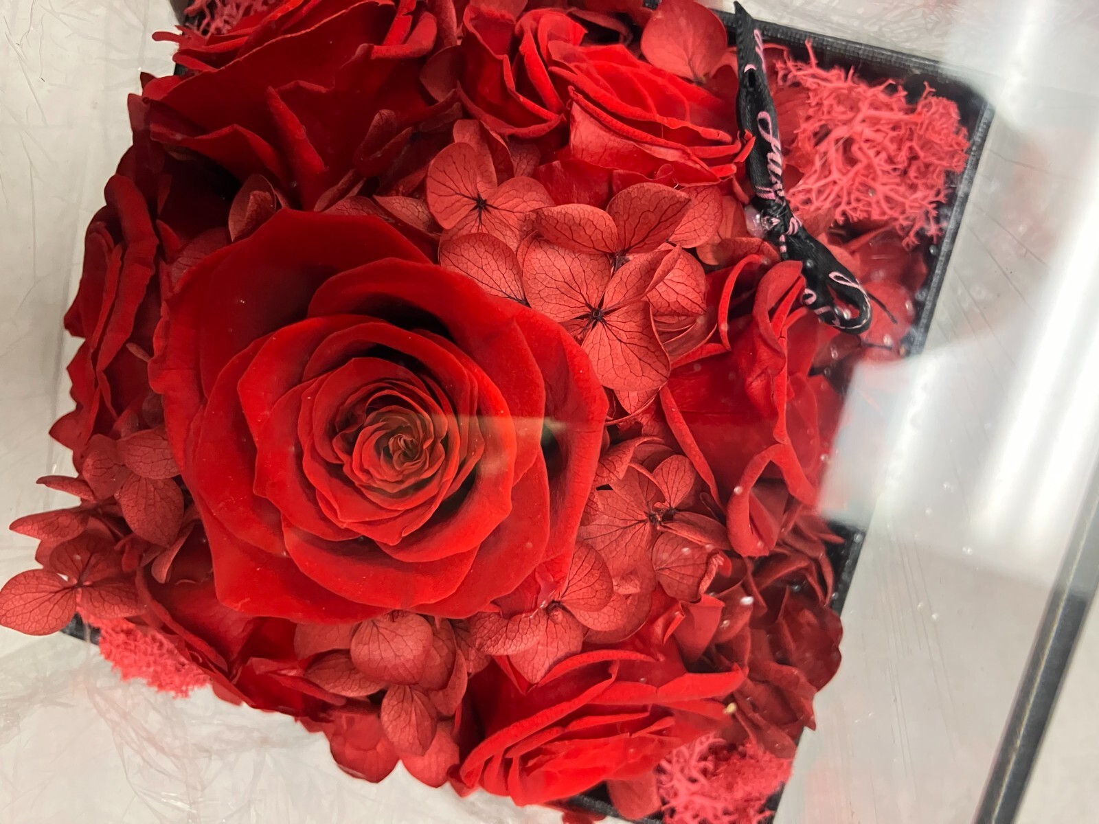 Agrul Preserved Real Roses Gifts for Her Women RED Eternal