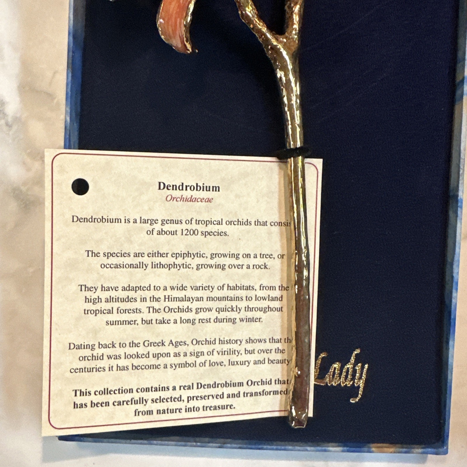 NEW The Rose Lady 24Kt Gold Dipped Long Stem REAL Dendrobium PINK Orchid
