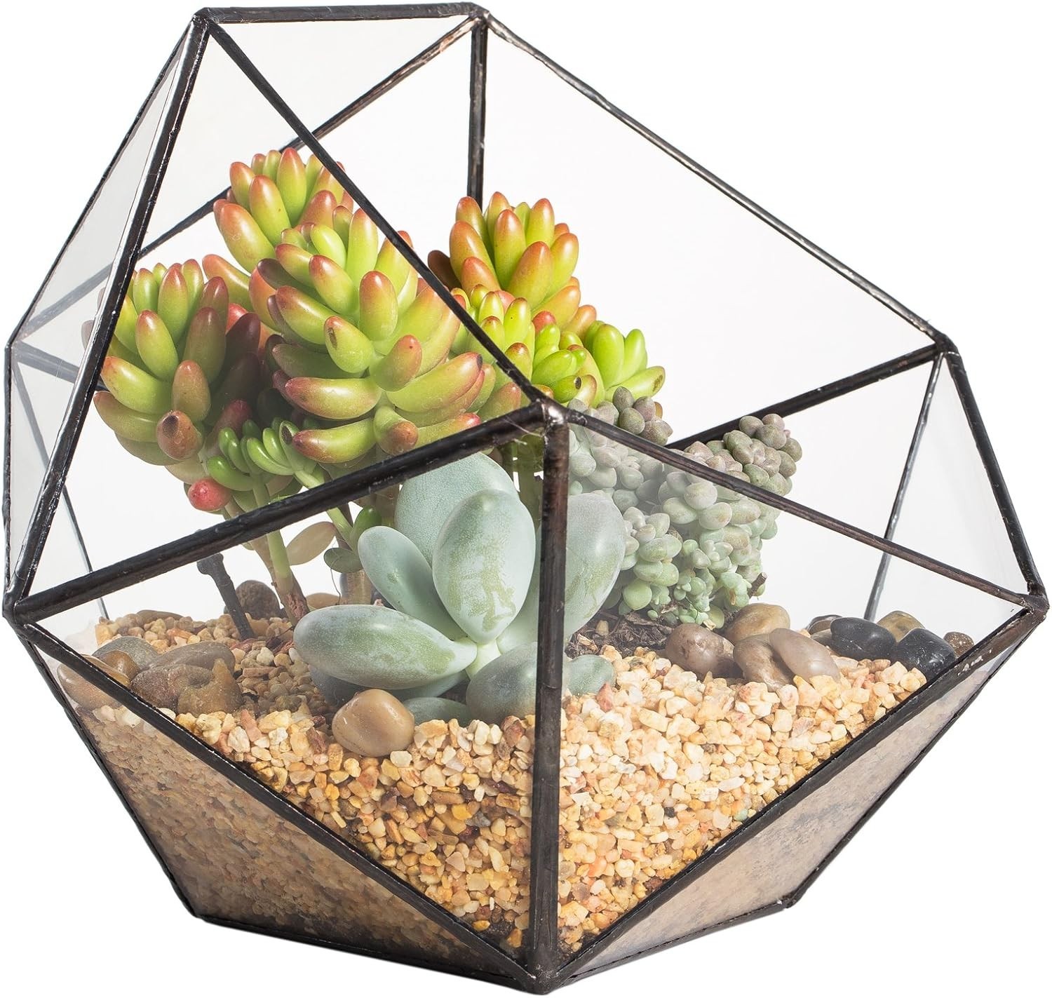 Opened Geometric Glass Terrarium, 6.69″ Bowl Shape Planter For Succulent Plant