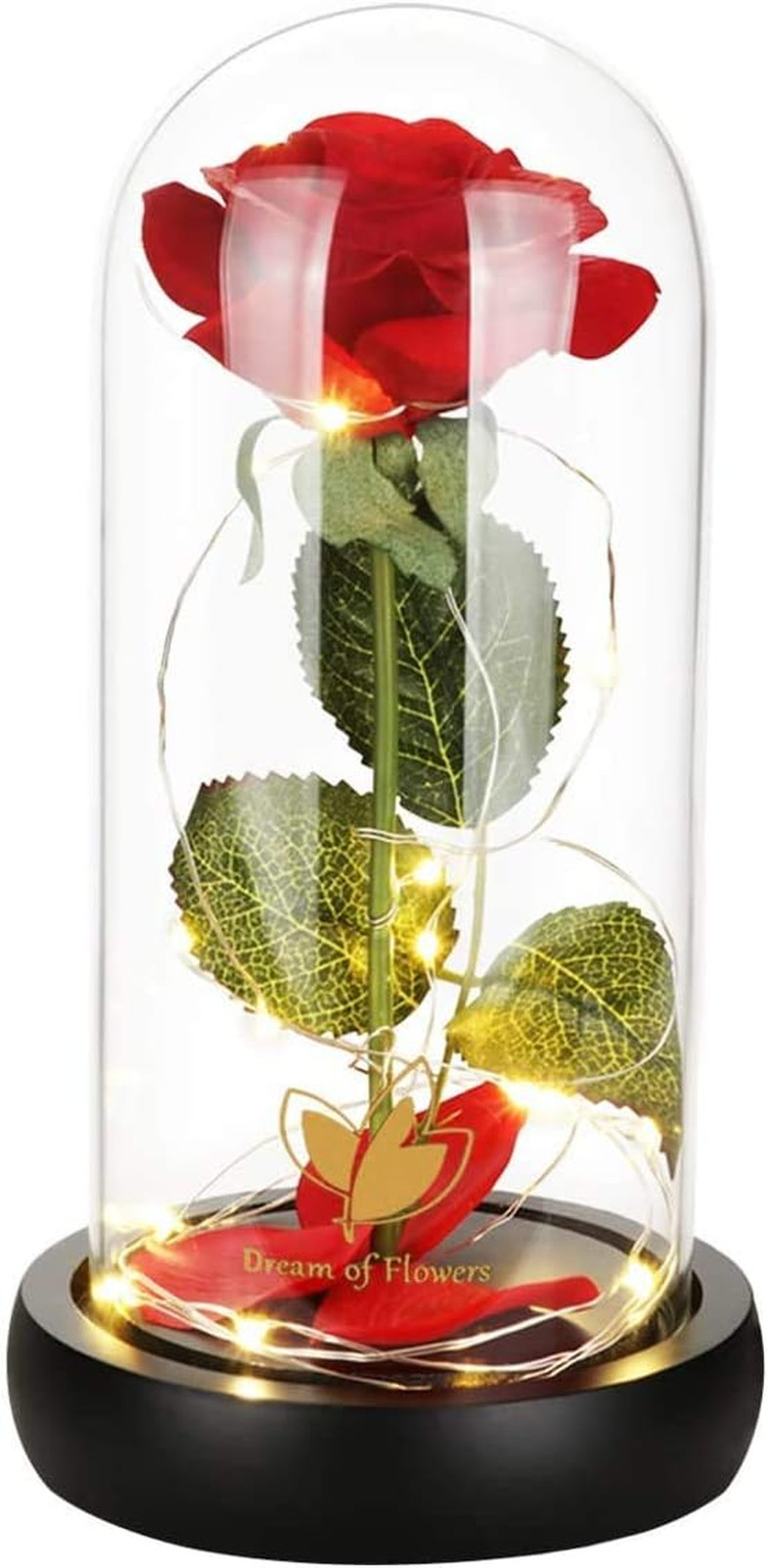 Valentines Day Gifts for Her-Beauty and the Beast Rose,Lasts Forever Red Roses,L