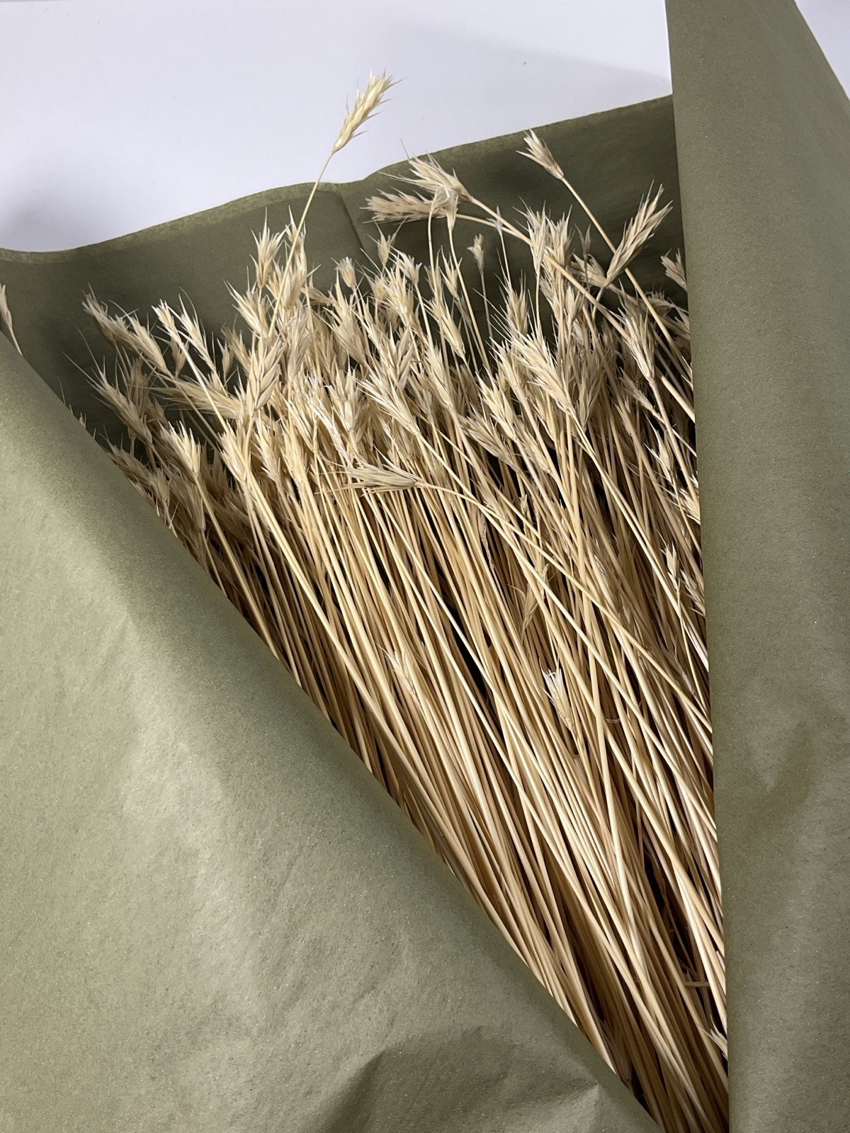 Dried Foxtail Grass Bundle: Rustic Floral Arrangement Supply in Natural Color