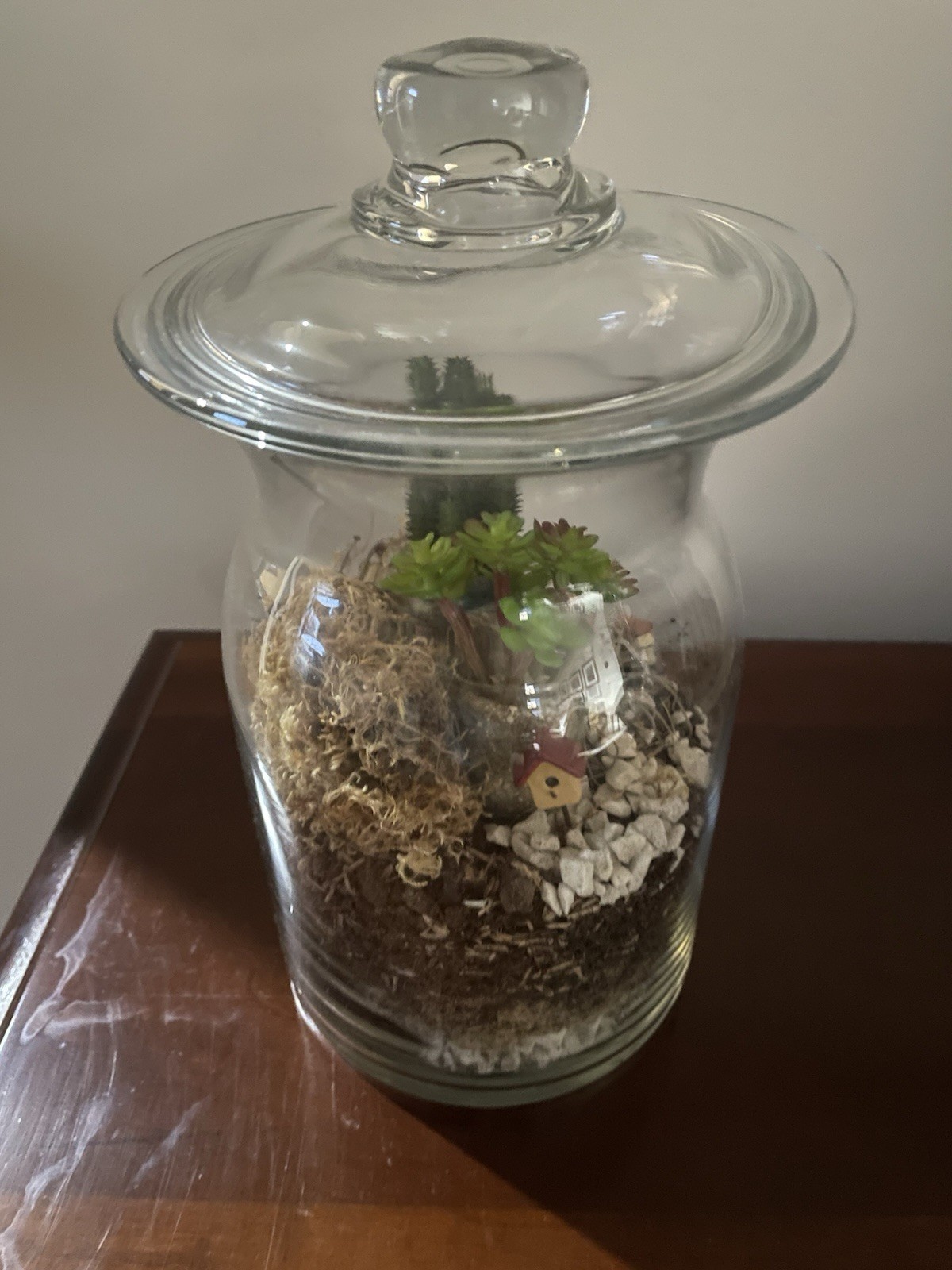 Artificial Terrarium, Self Contained Succulent Ecosystem In A Glass Container