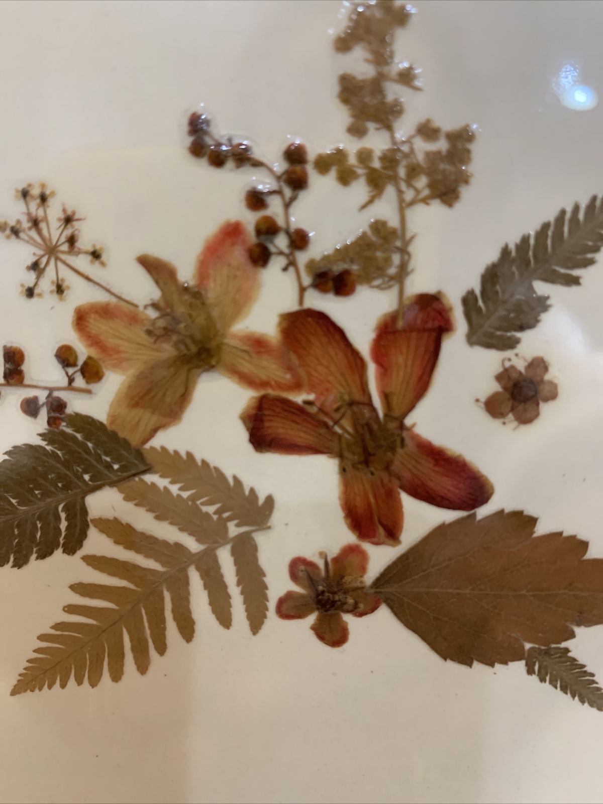 Dried Pressed Flowers Wall Hanging Art Floral Handmade Vintage Framed 9” Square
