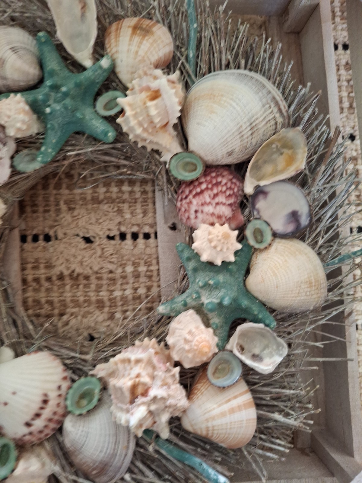 New In Crate Seashell Starfish Wreath “Shoreline” Luxury Home Decor Wall Hanging