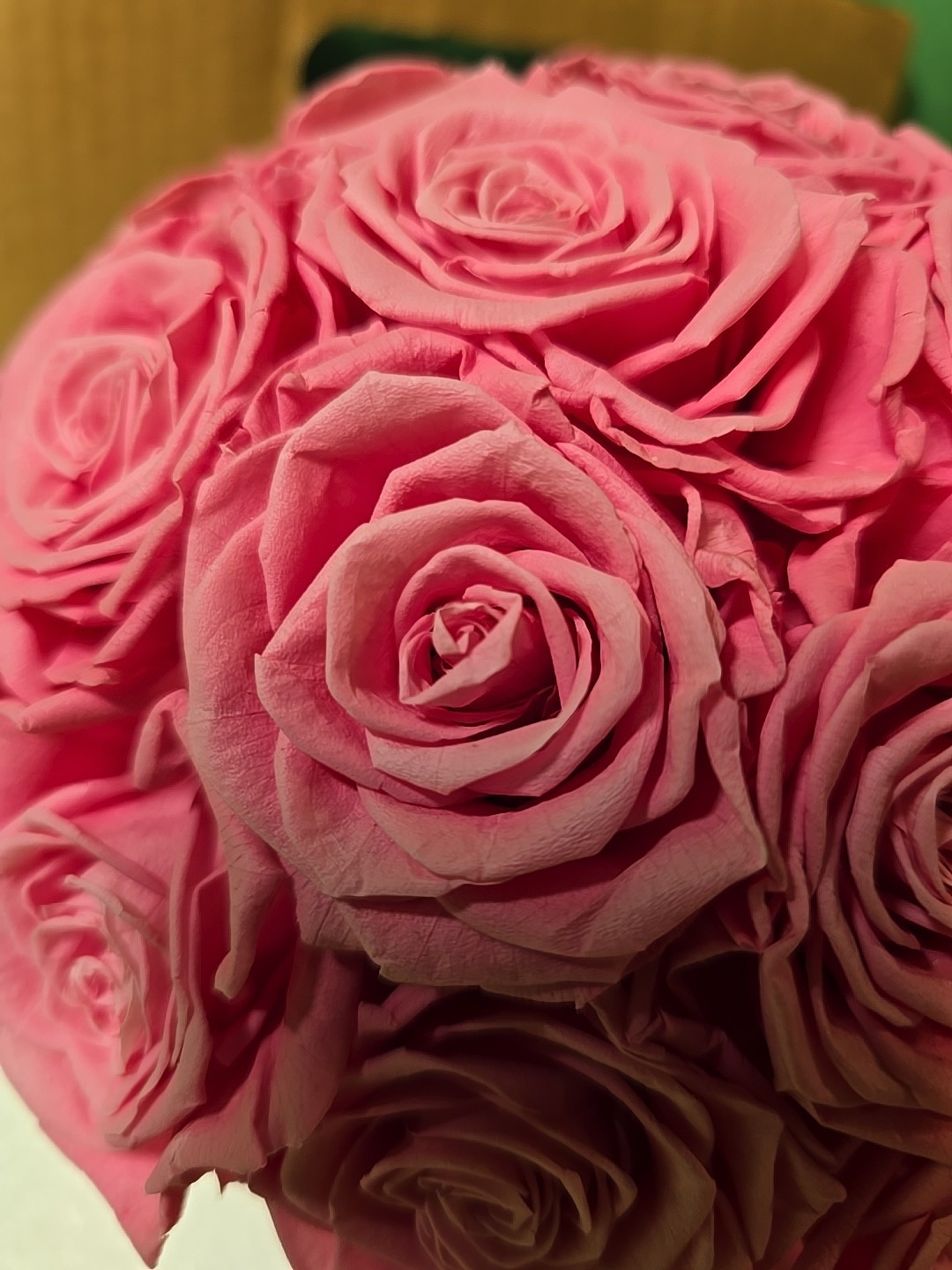 27 Preserved Pink Roses In White Vase, Preserved Flowers Dome Shaped