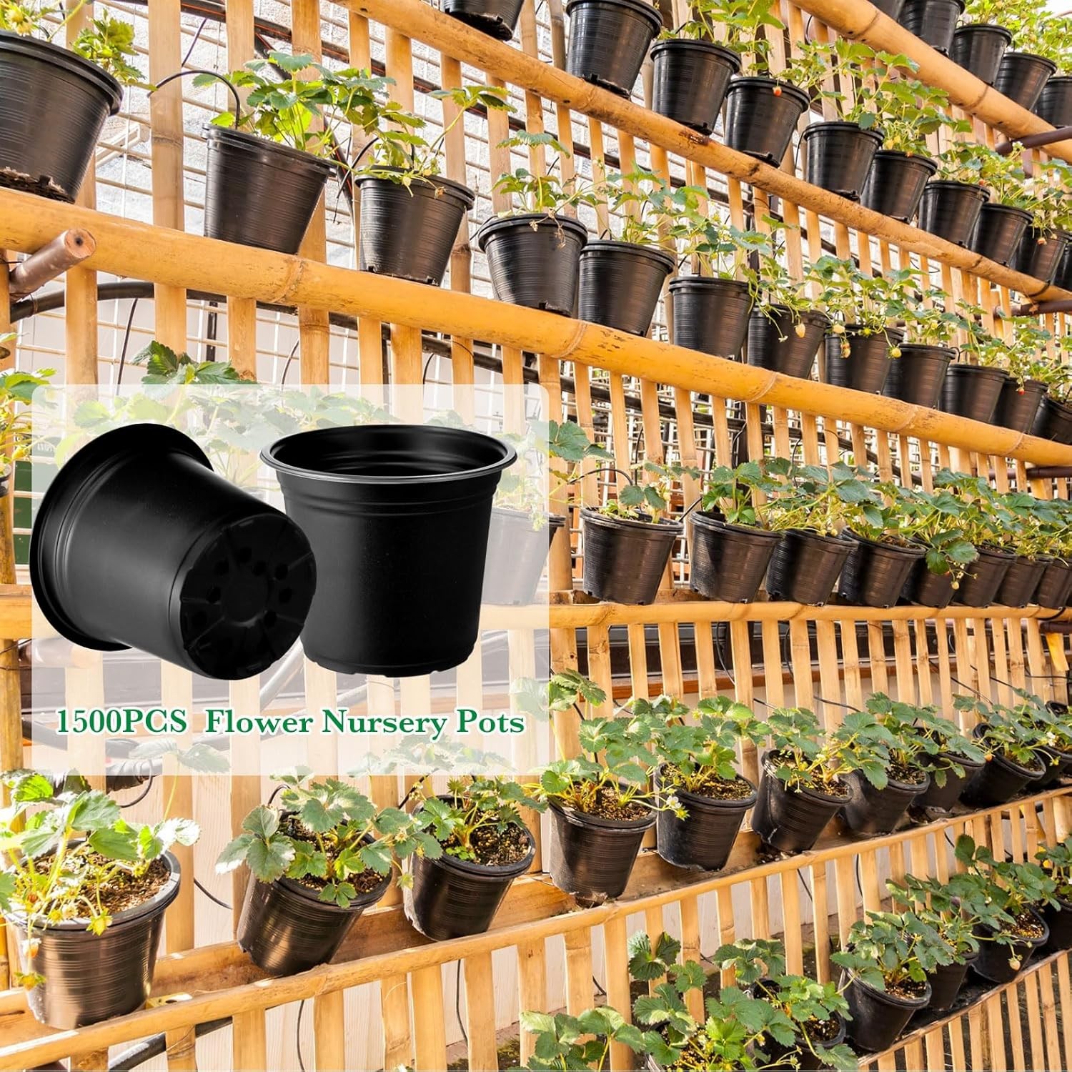 1500 Pcs Plastic Plants Nursery Pots – Seed Starting and Seedling Planters With
