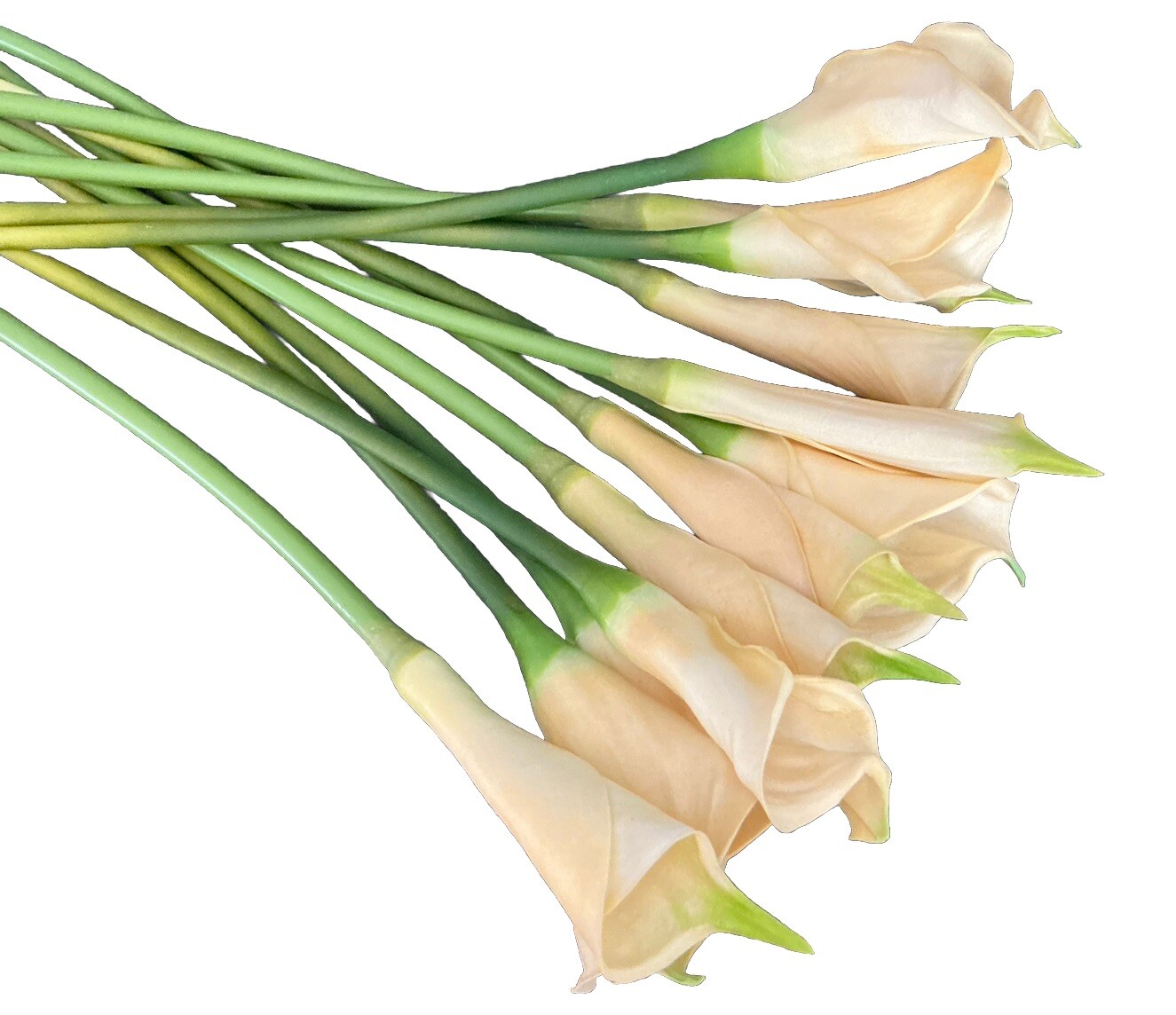 12 PCS Artificial Real Touch Faux Calla Lily Ivory Flowers 25’’