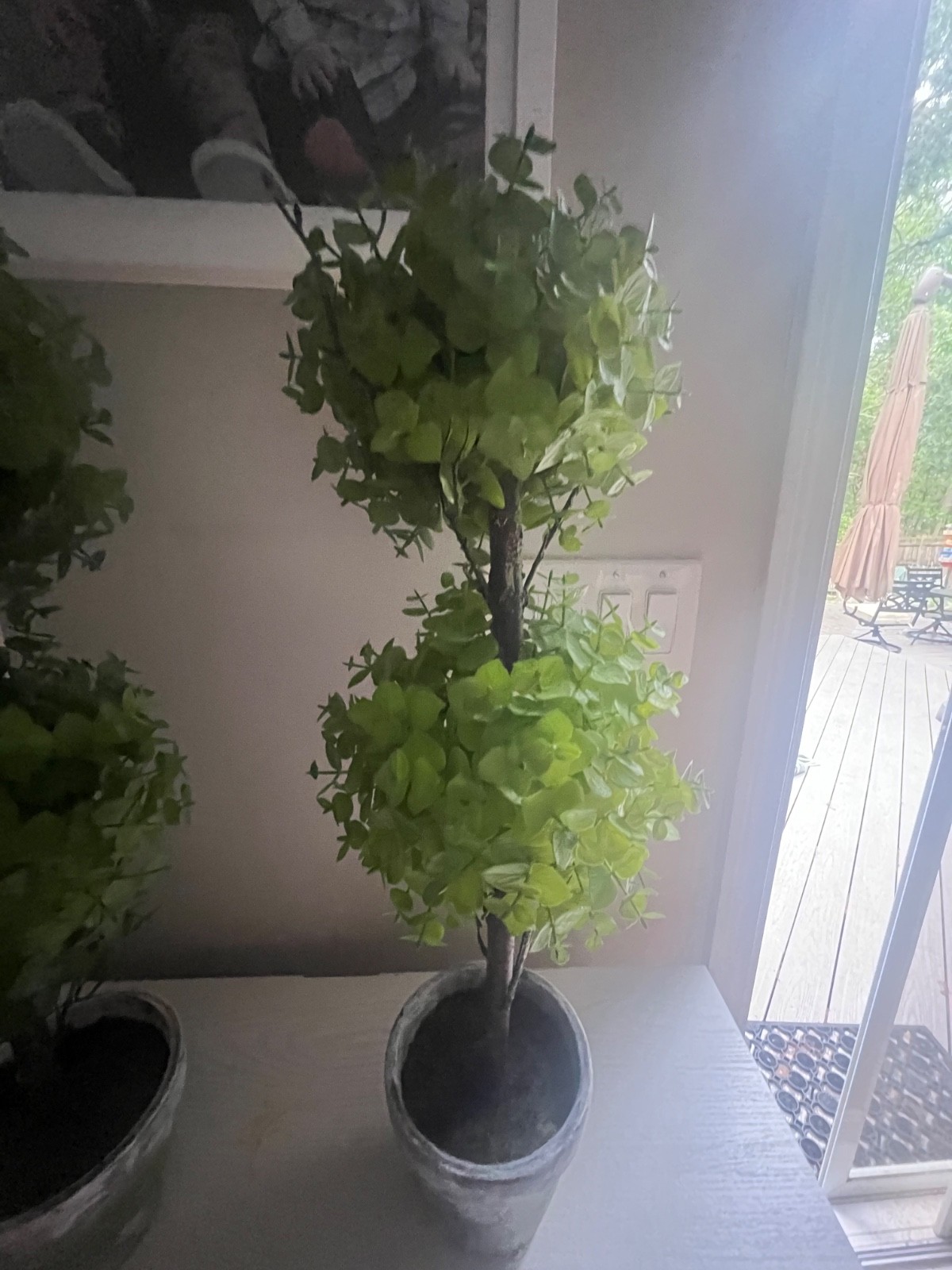 Faux boxwood topiary trees Set of 2, 23 inches in height