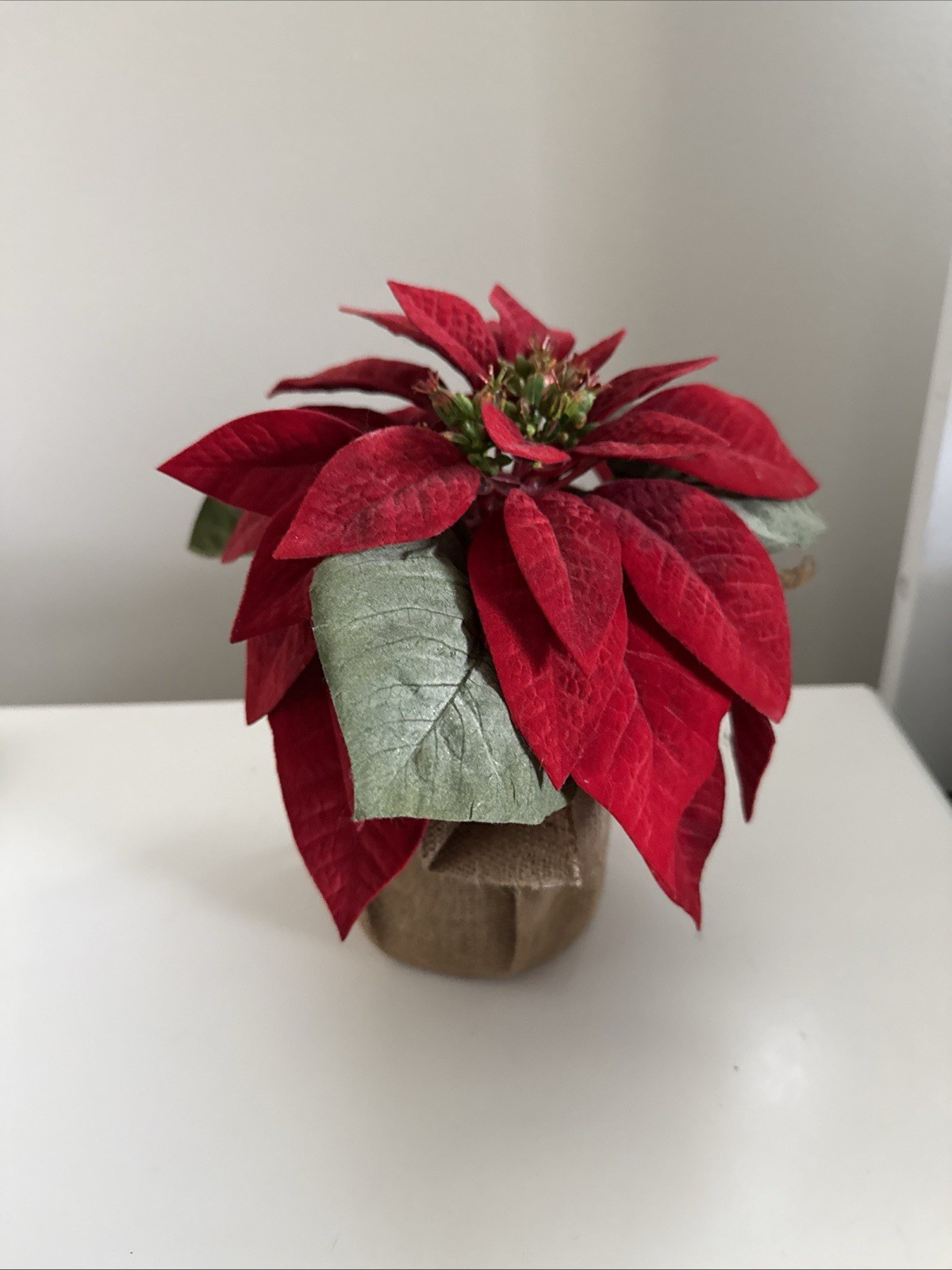 Pottery Barn Faux Burlap Wrapped Poinsettia 8 “ Red Velvet Leaves 4 “ Pot