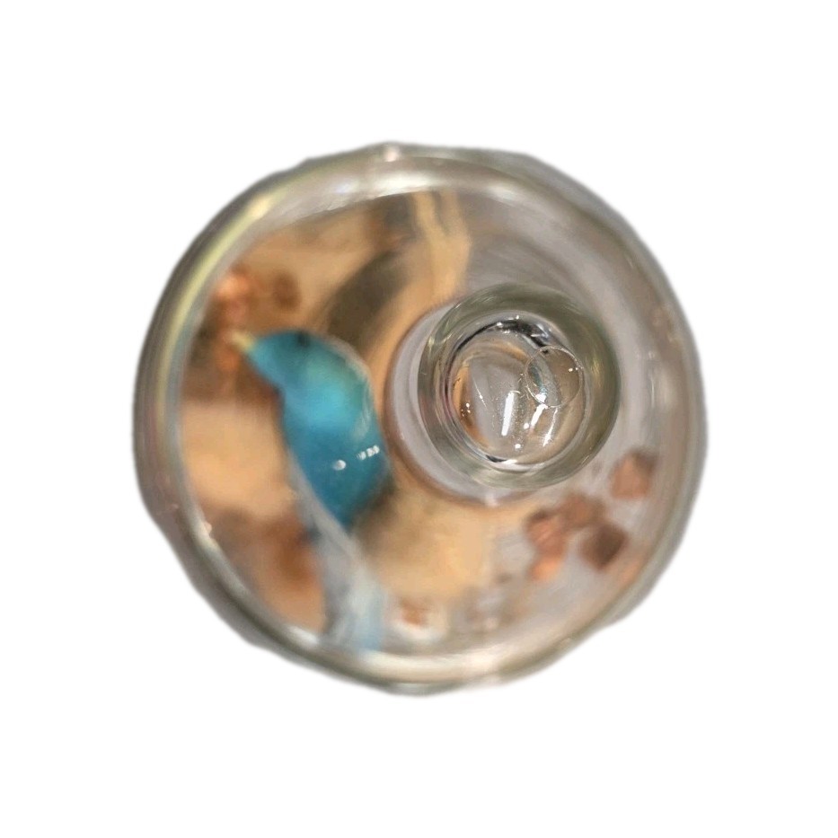 VTG Apothecary Jar Dried Floral Terrarium with Blue Bird