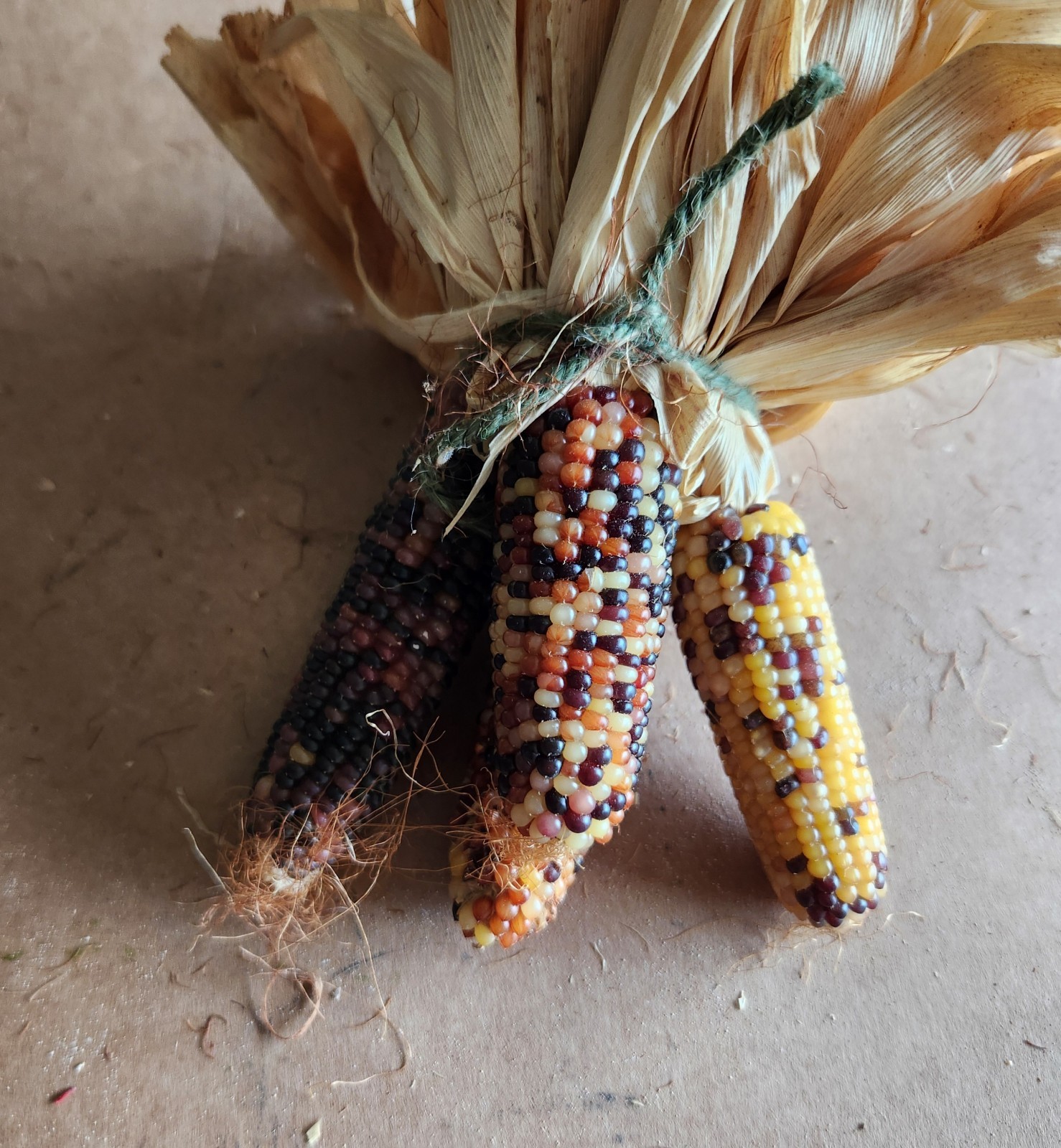 Mini Indian Corn, Approx 5″ Long – Thanksgiving, Fall, Decor, Small #5