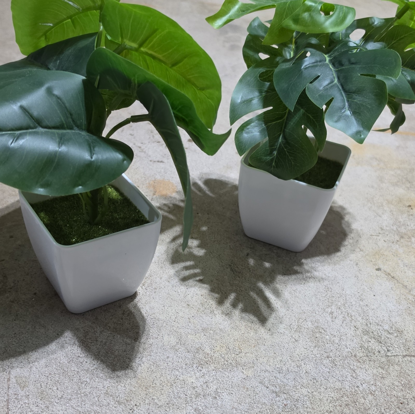 Artificial Monstera Houseplant Arrangement, Set of 2 White Square Pots